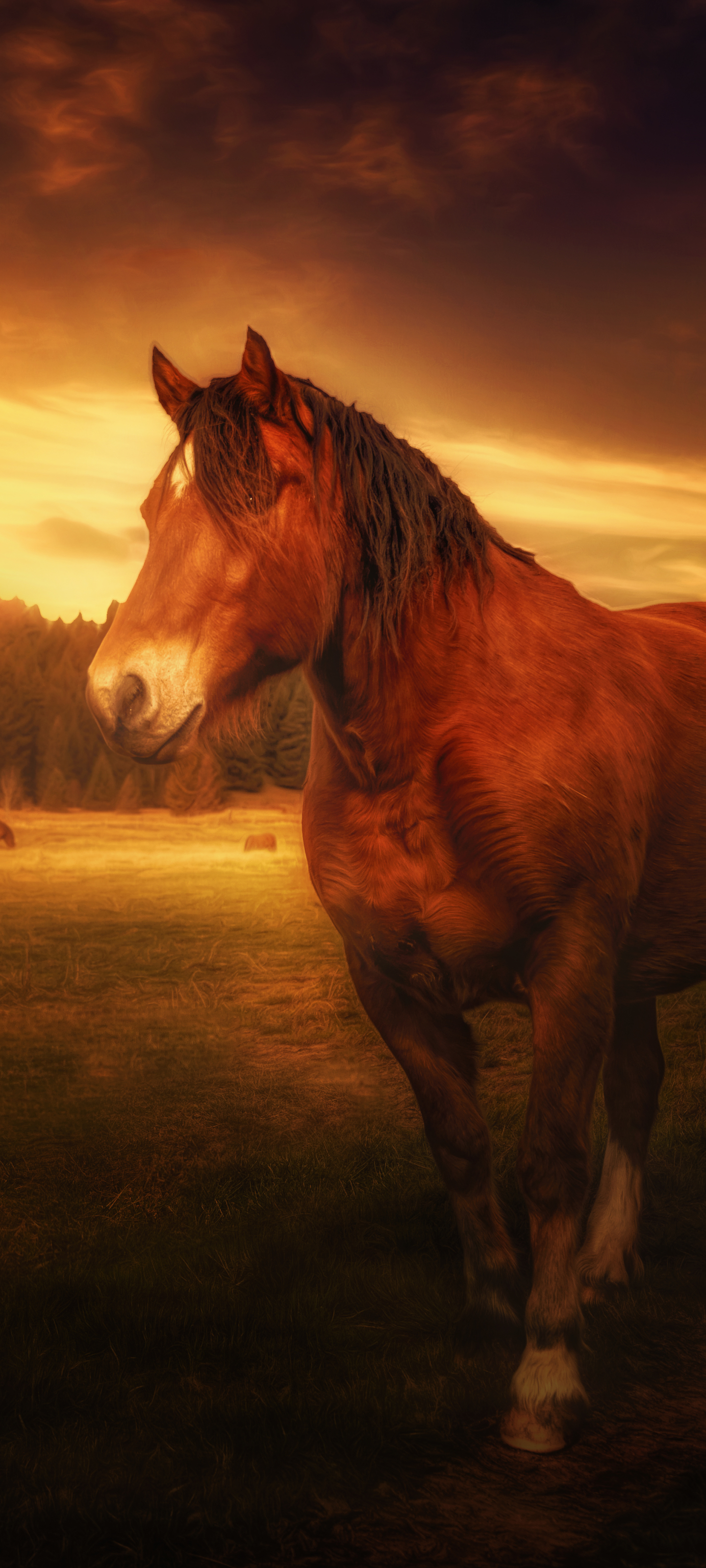 Download mobile wallpaper Animal, Horse for free.