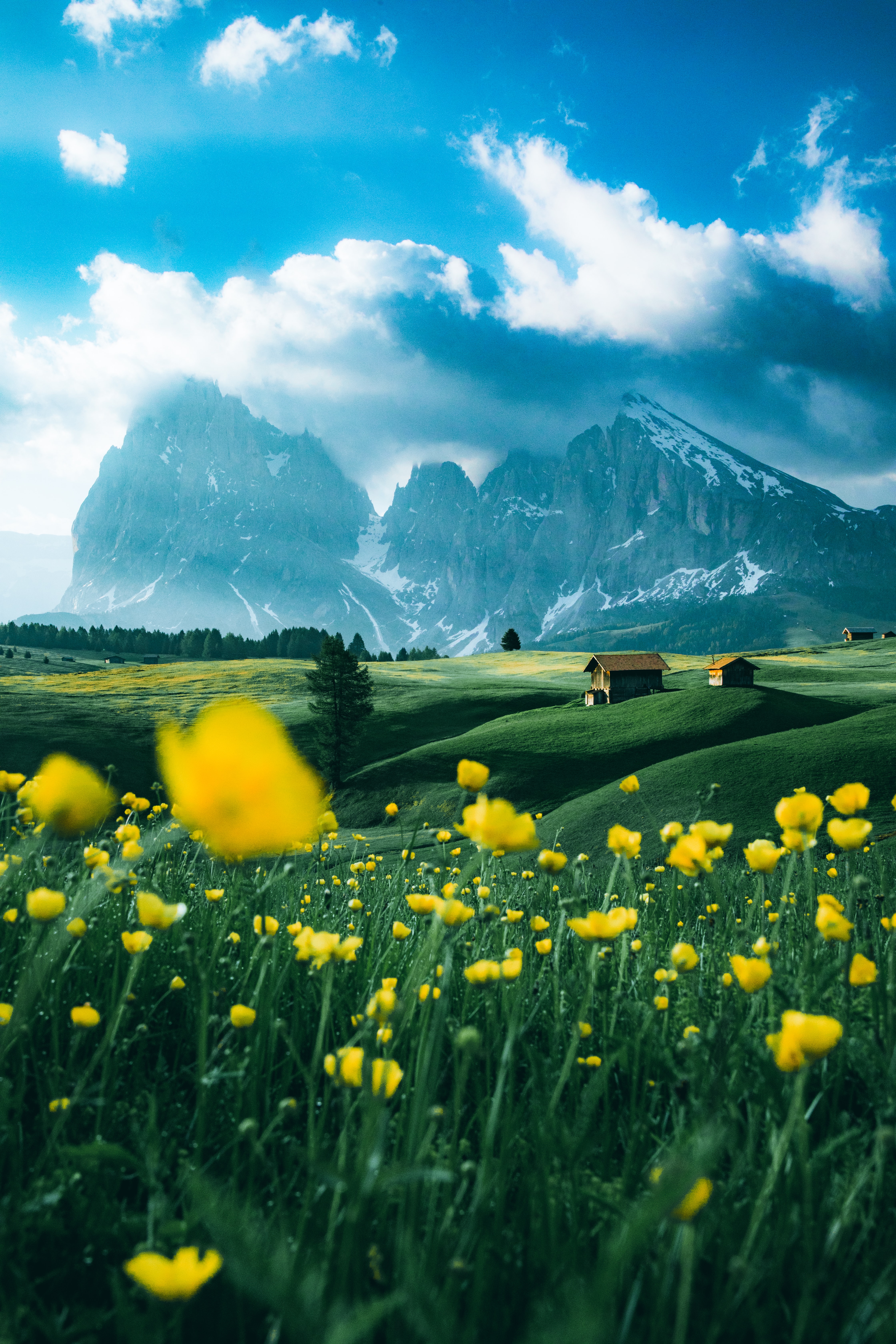 structure, nature, flowers, mountains, field, spaciousness, scope
