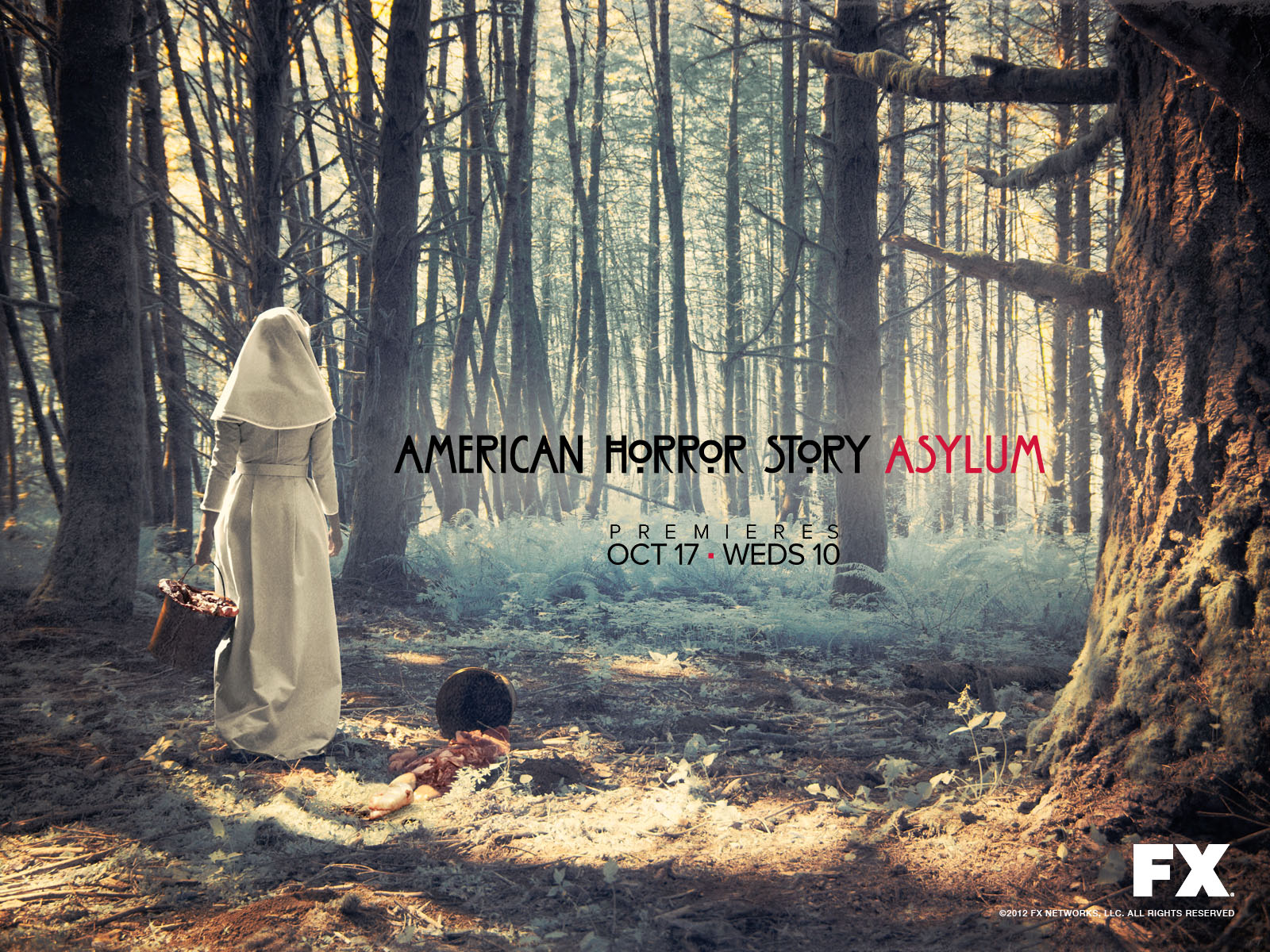 tv show, american horror story: asylum