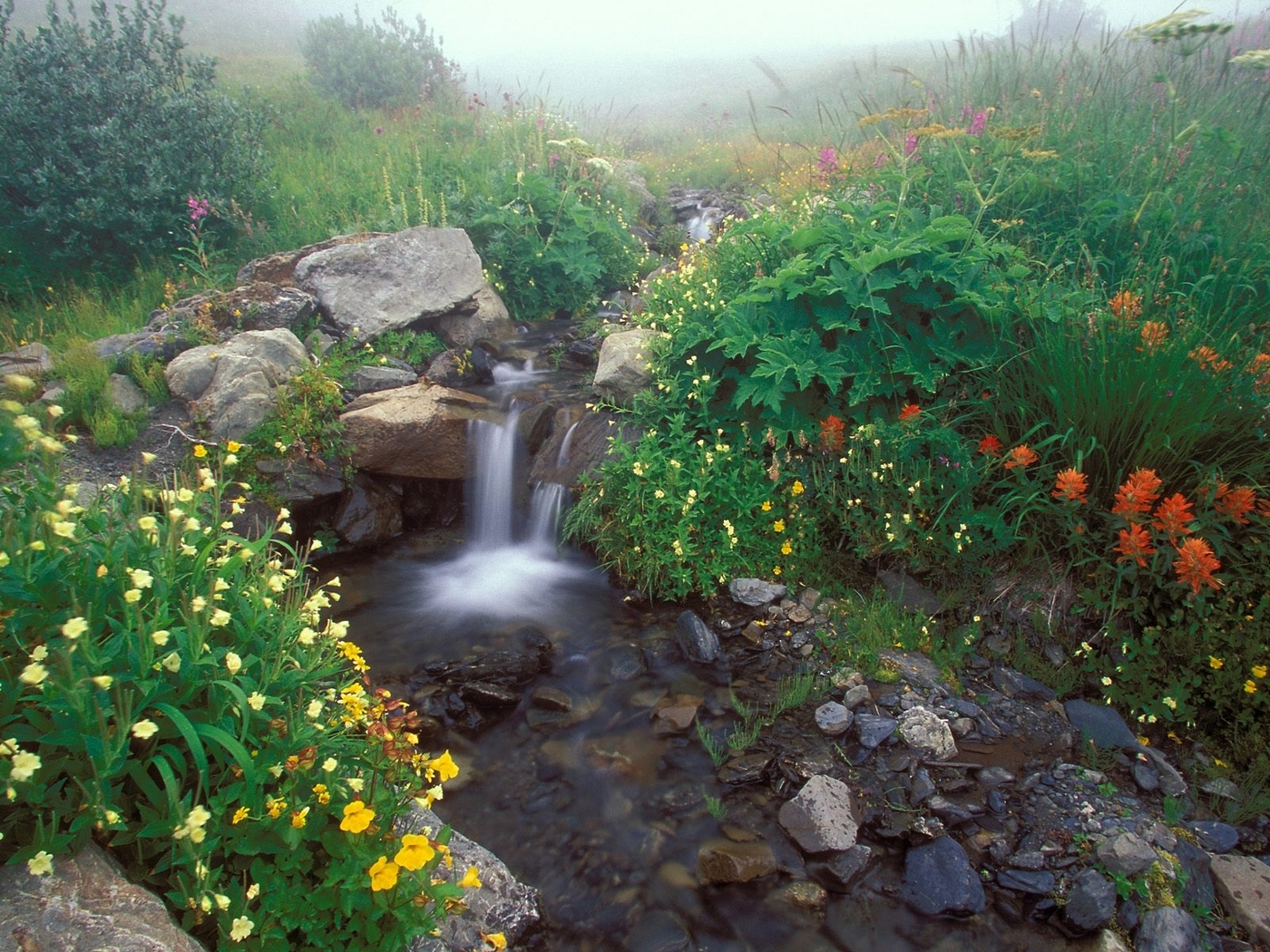 Скачать обои бесплатно Водопады, Пейзаж, Цветы картинка на рабочий стол ПК