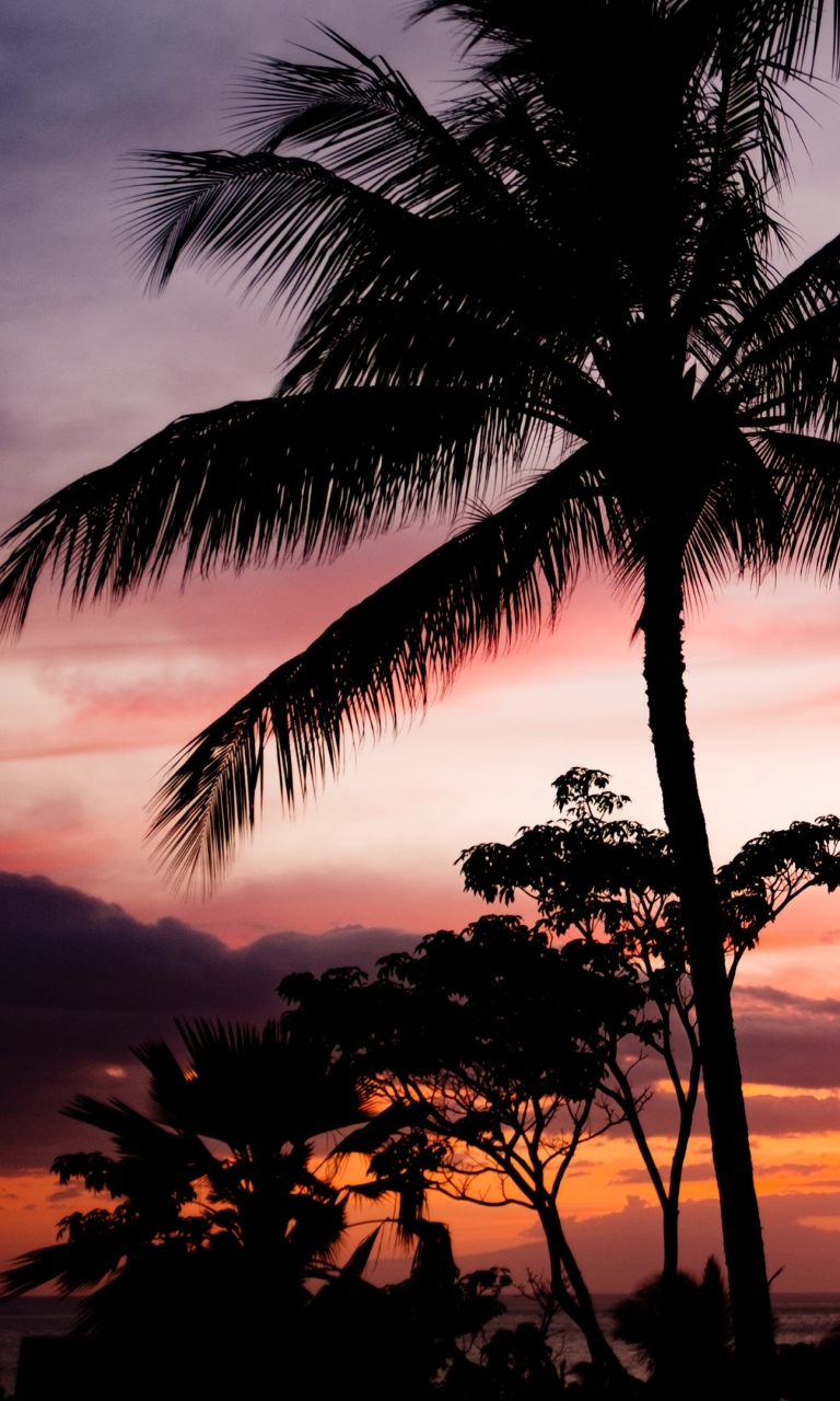 Descarga gratuita de fondo de pantalla para móvil de Cielo, Amanecer, Tropical, Nube, Atardecer, Tierra/naturaleza, Palmera, Tropico, Puesta De Sol.