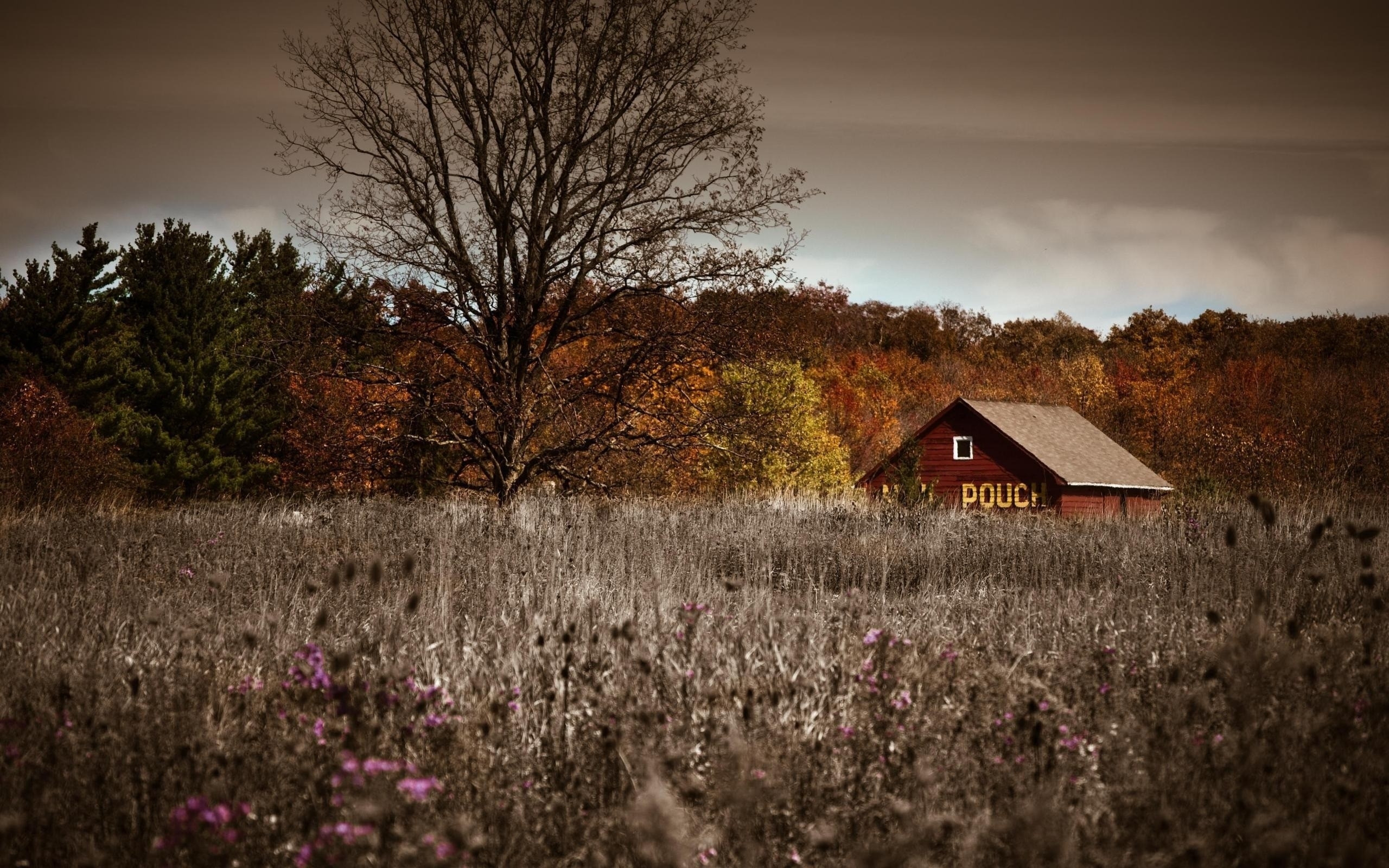 Free download wallpaper Cabin, Man Made on your PC desktop