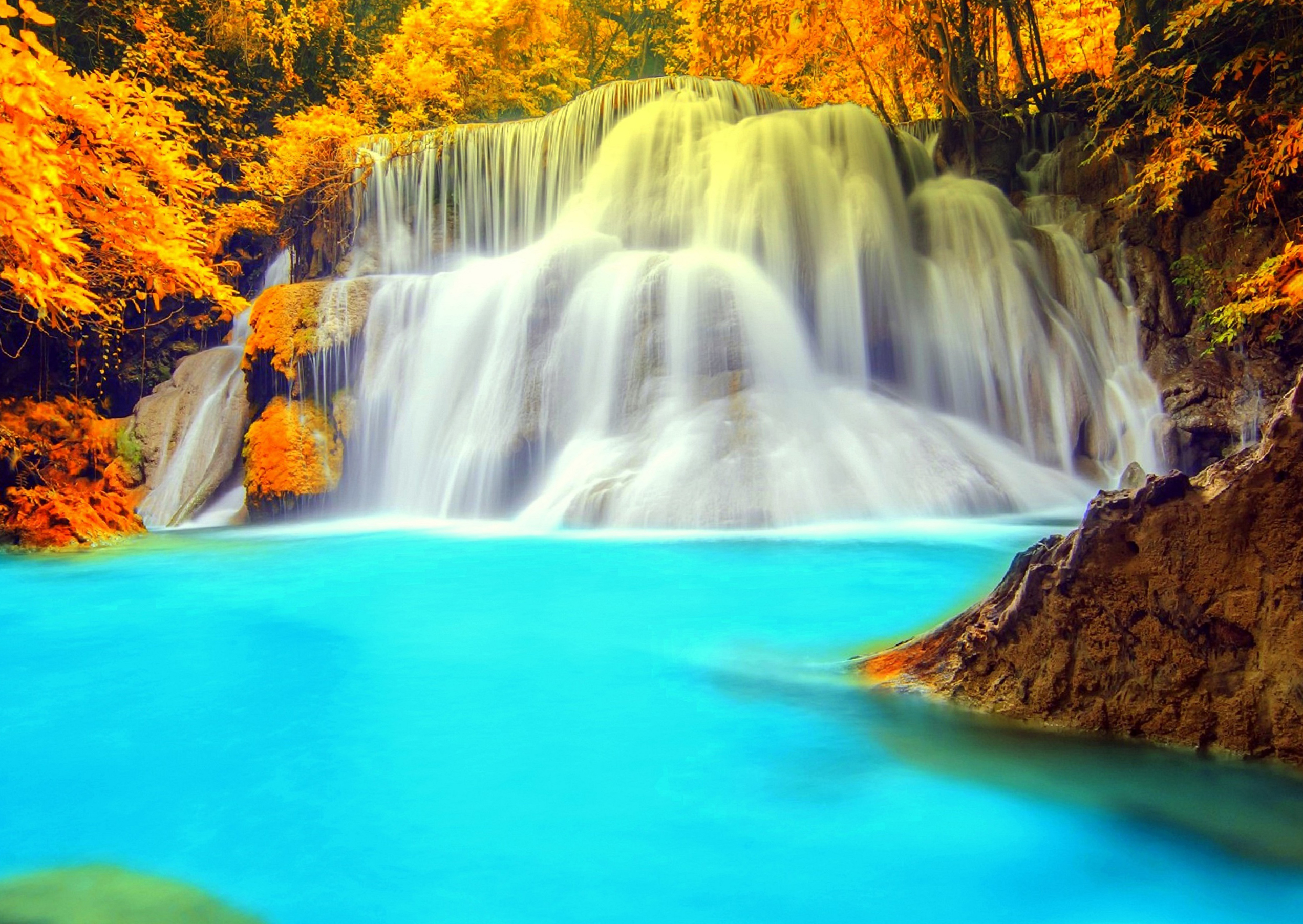 Download mobile wallpaper Waterfalls, Waterfall, Tree, Fall, Earth for free.