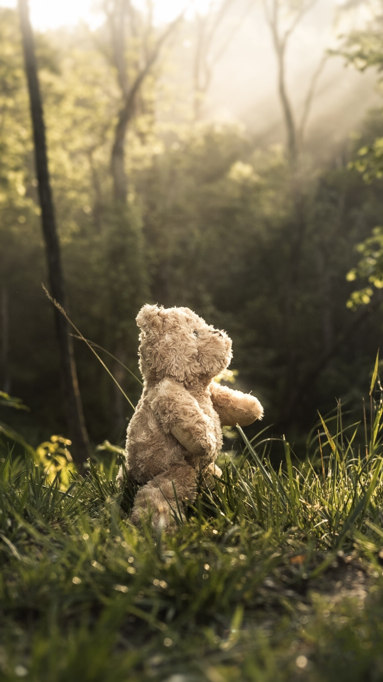Download mobile wallpaper Teddy Bear, Child, Photography, Stuffed Animal for free.
