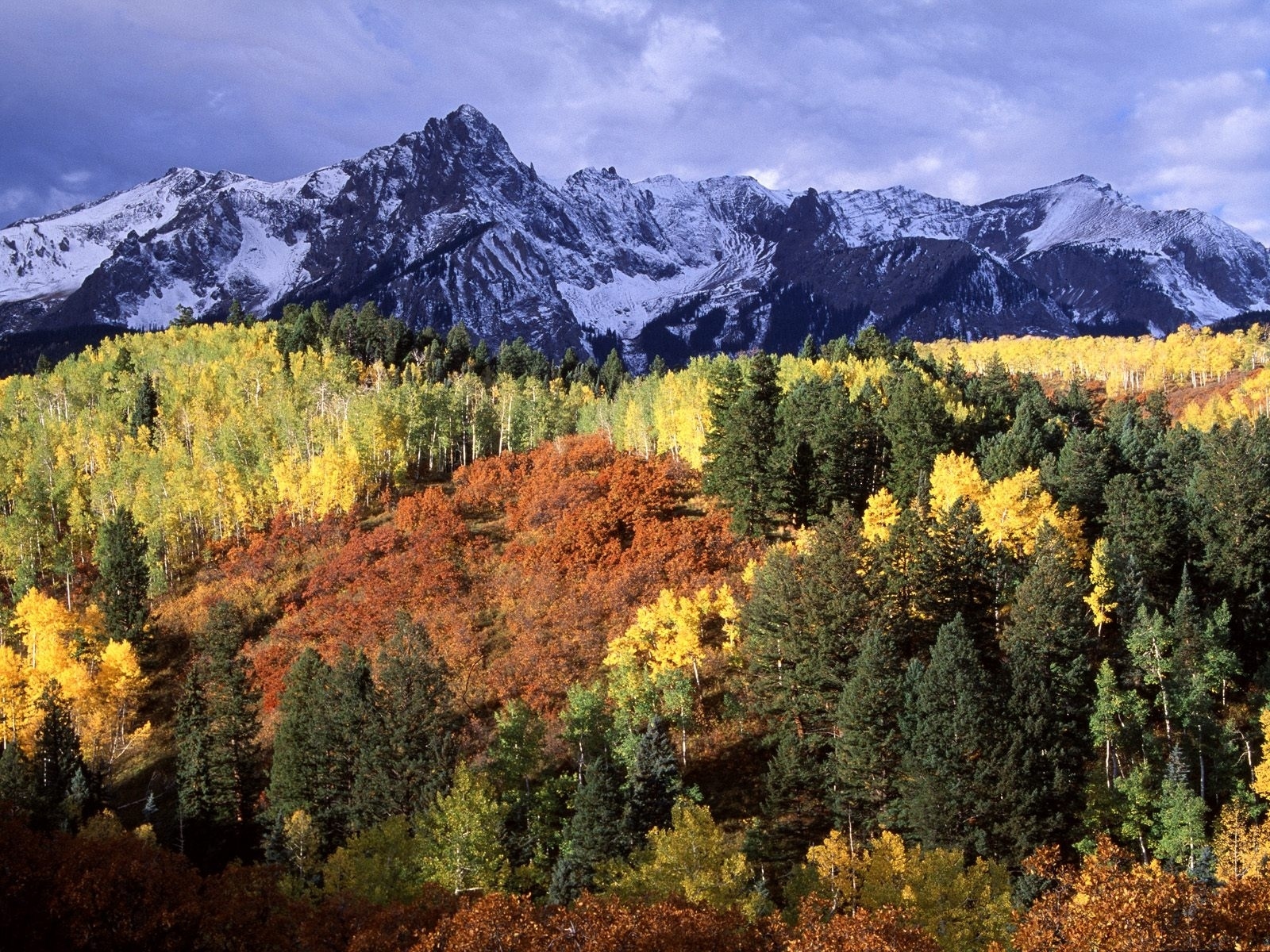 Handy-Wallpaper Landschaft, Natur, Schnee, Wald, Gebirge, Erde/natur kostenlos herunterladen.