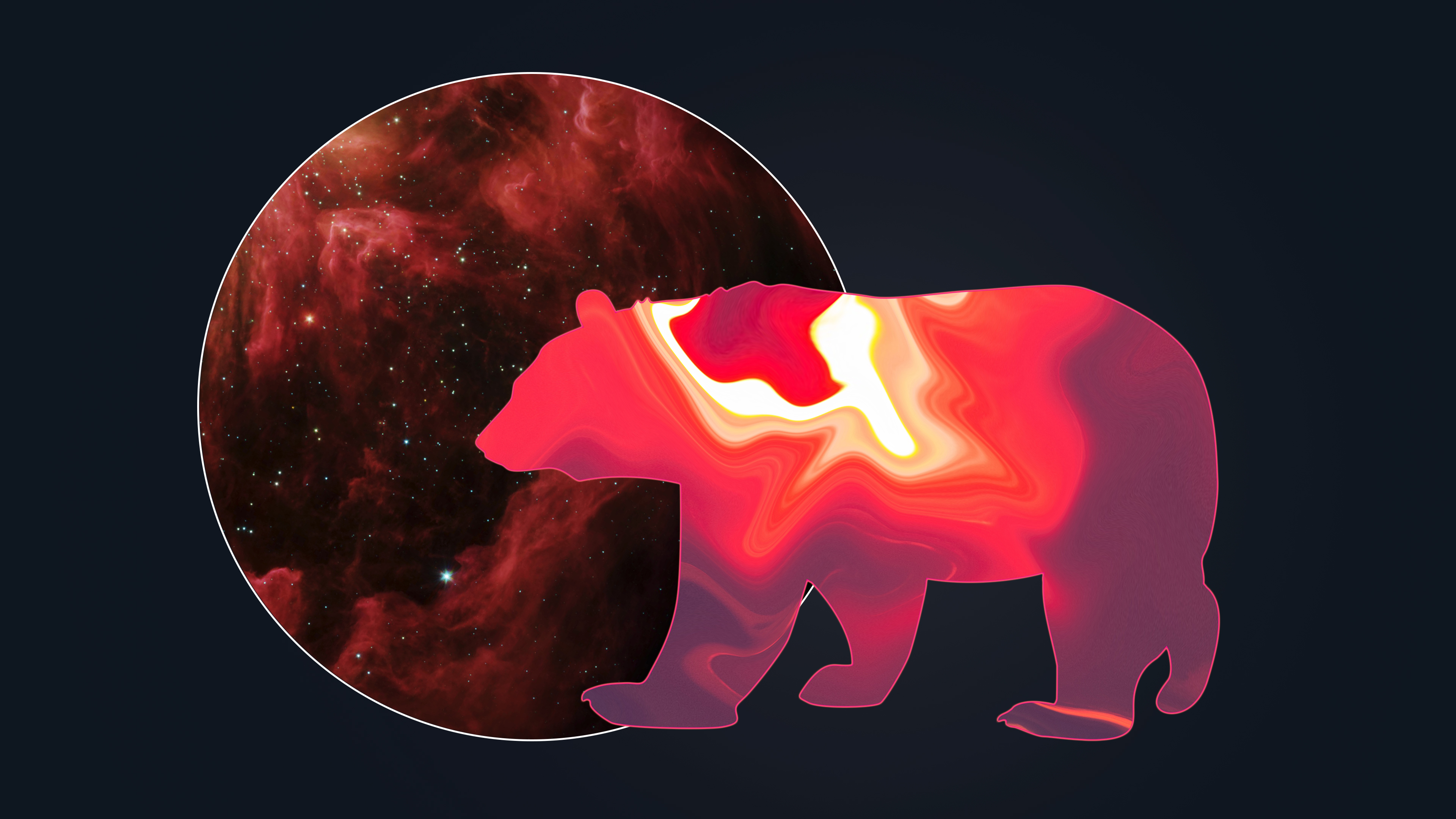 Скачать обои бесплатно Животные, Космос, Медведи, Медведь картинка на рабочий стол ПК