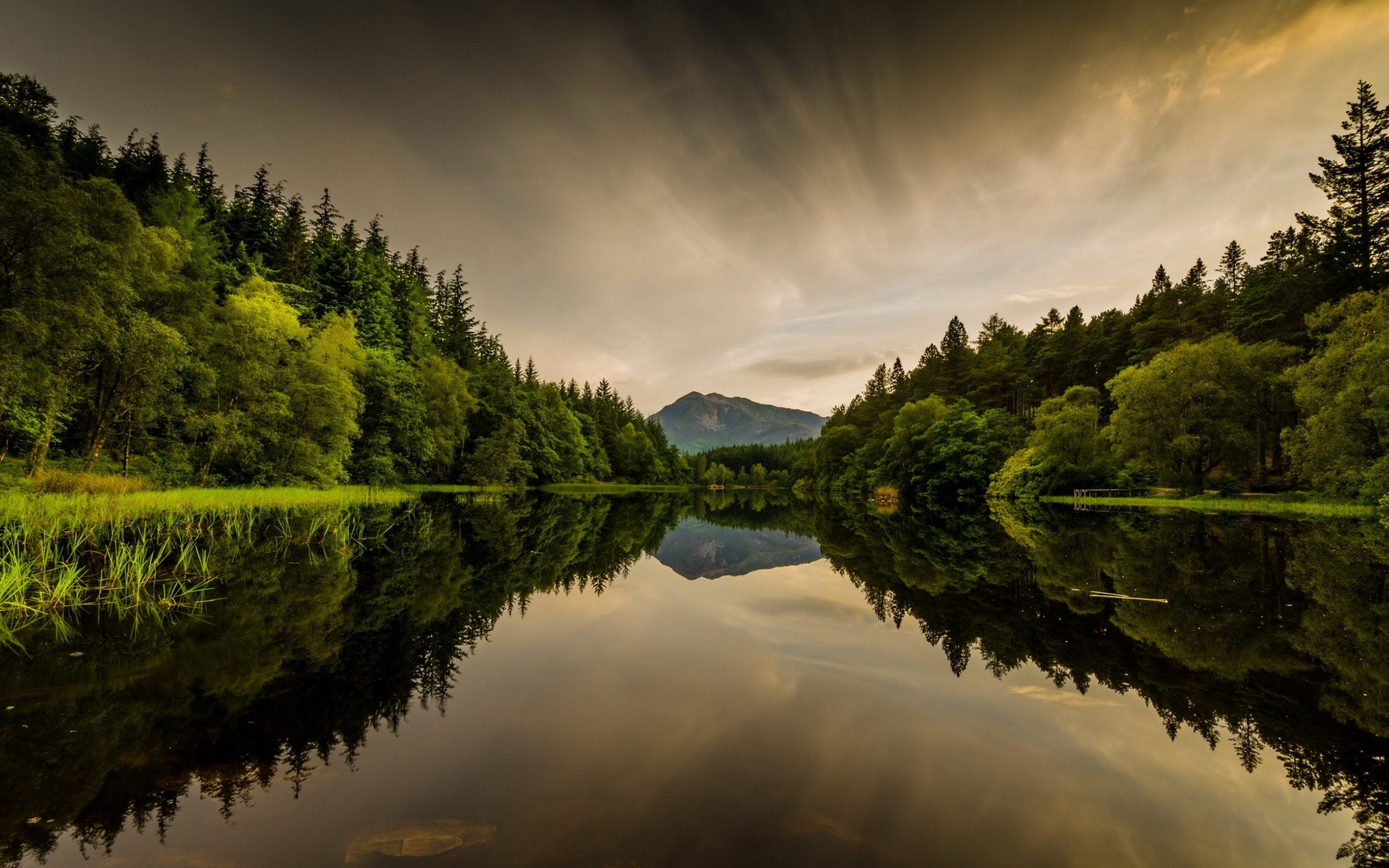 Download mobile wallpaper Reflection, Wood, Earth, Scotland, Glencoe Lochan for free.