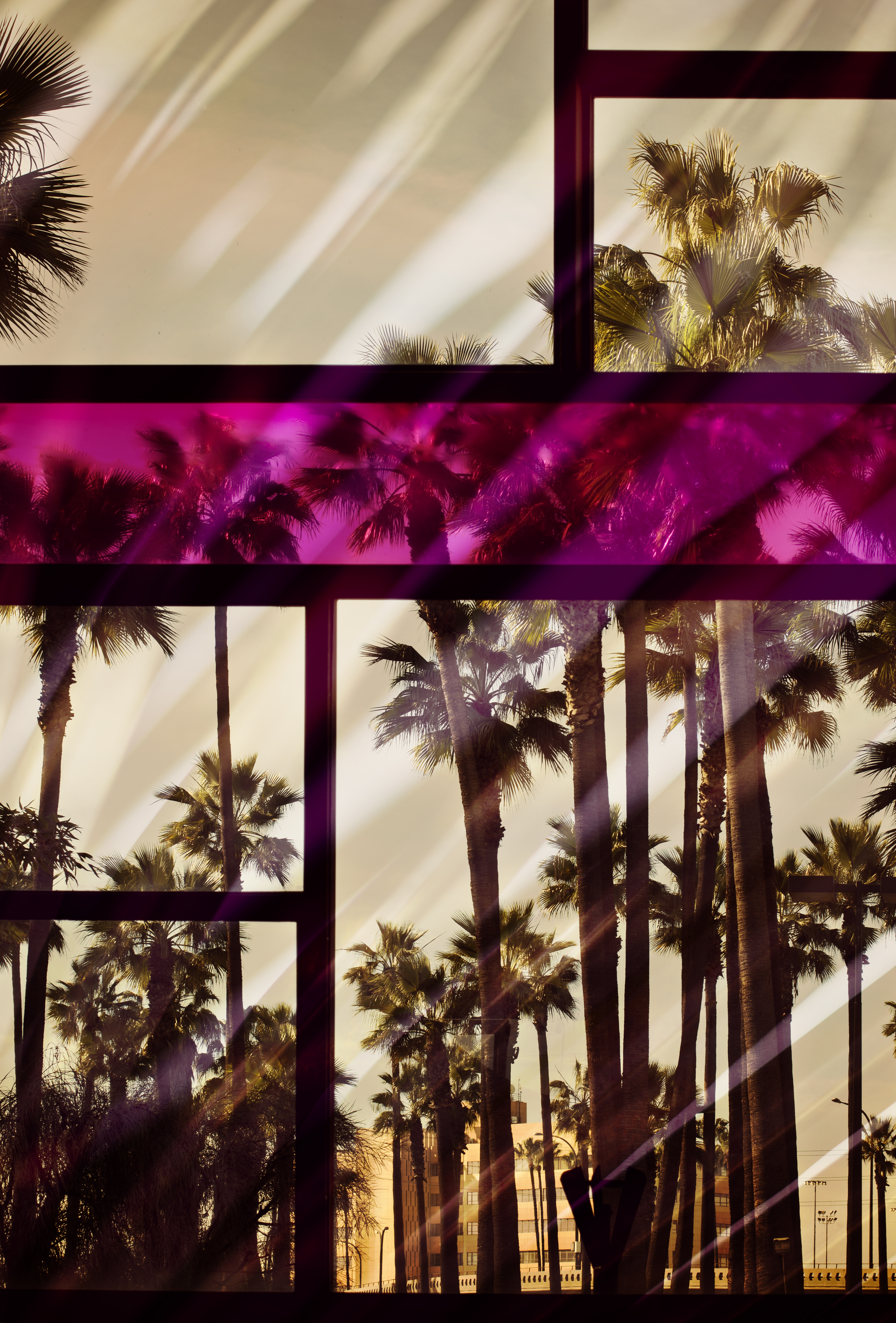 Free download wallpaper Reflection, Miscellanea, Color, Palms, Miscellaneous, Coloured, Frame, Window, Glass on your PC desktop