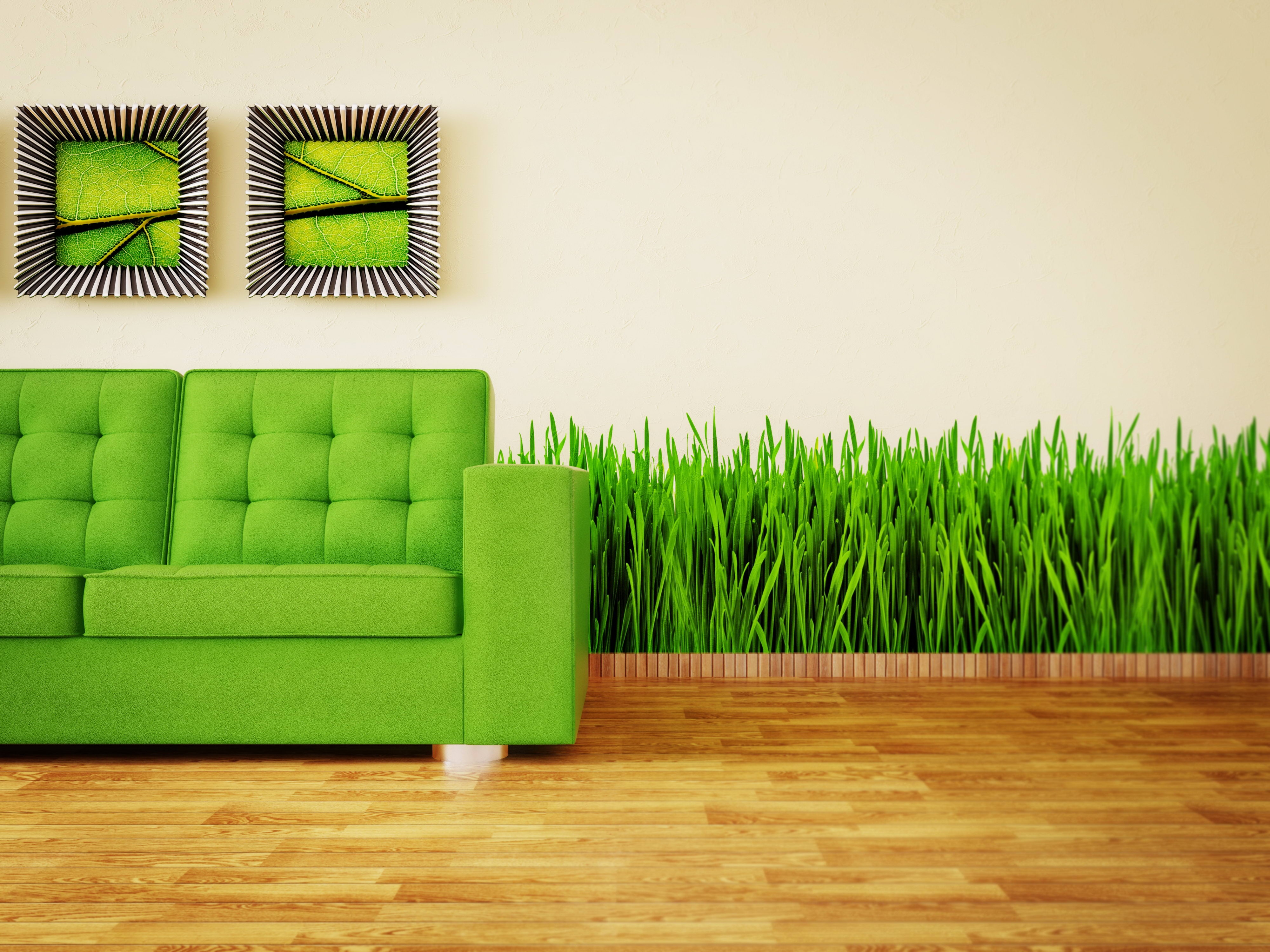 sofa, paintings, interior, grass, miscellanea, miscellaneous, greens