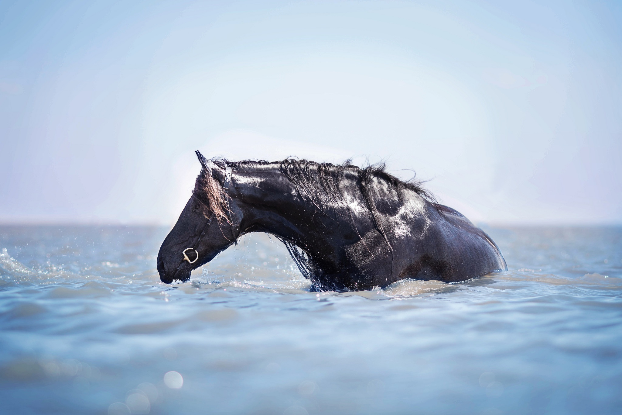 897351 Bildschirmschoner und Hintergrundbilder Wasser auf Ihrem Telefon. Laden Sie  Bilder kostenlos herunter