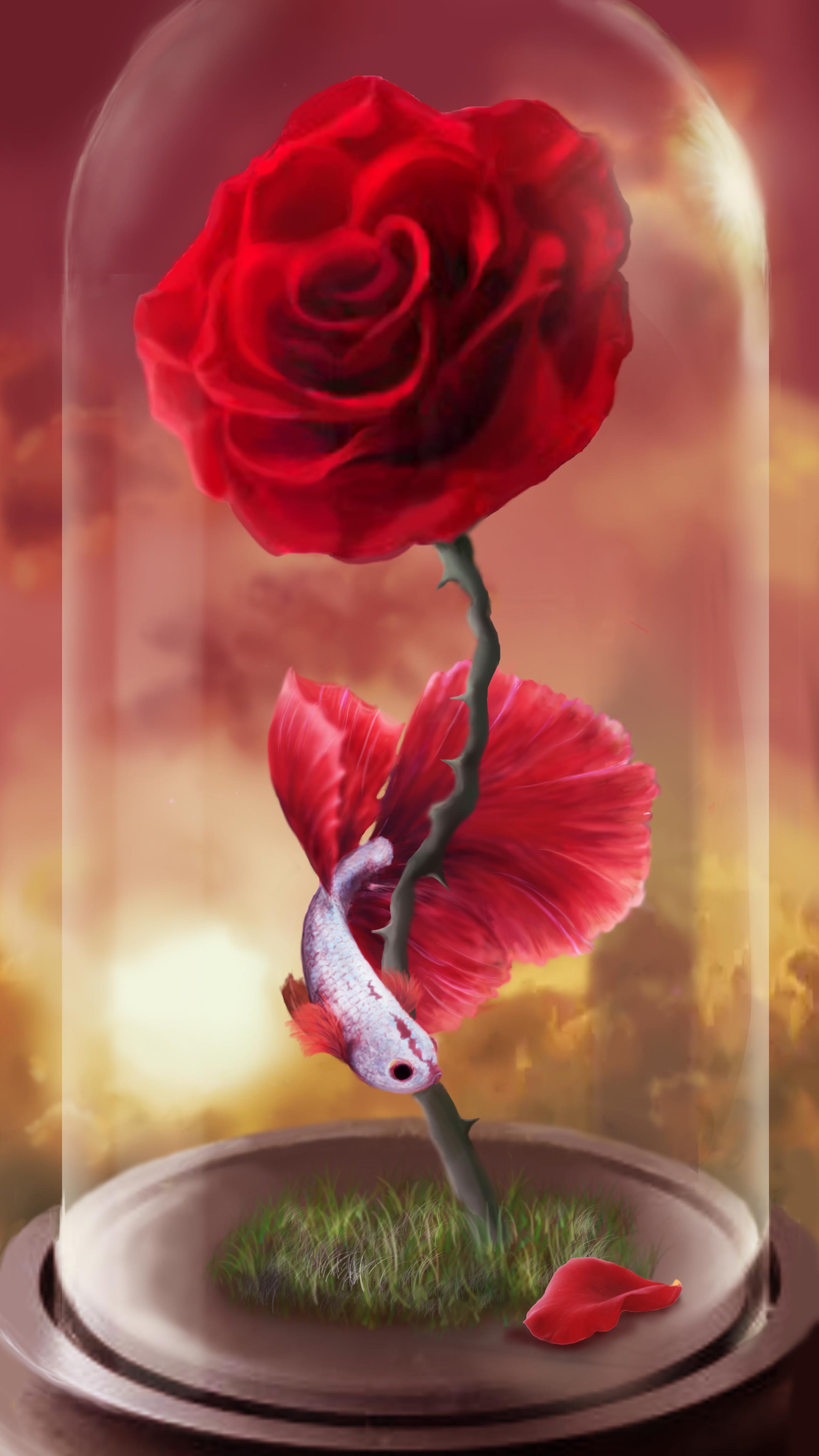 Download mobile wallpaper Flower, Rose, Rose Flower, Fish, Art for free.