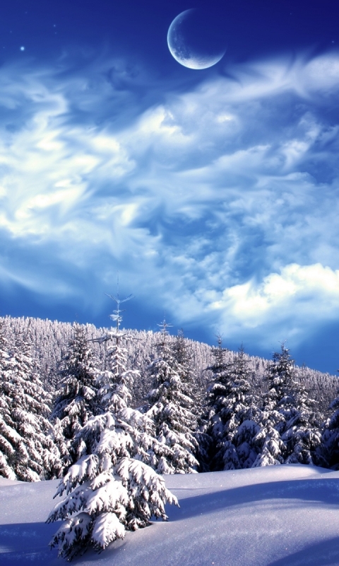 Handy-Wallpaper Winter, Schnee, Erde/natur kostenlos herunterladen.