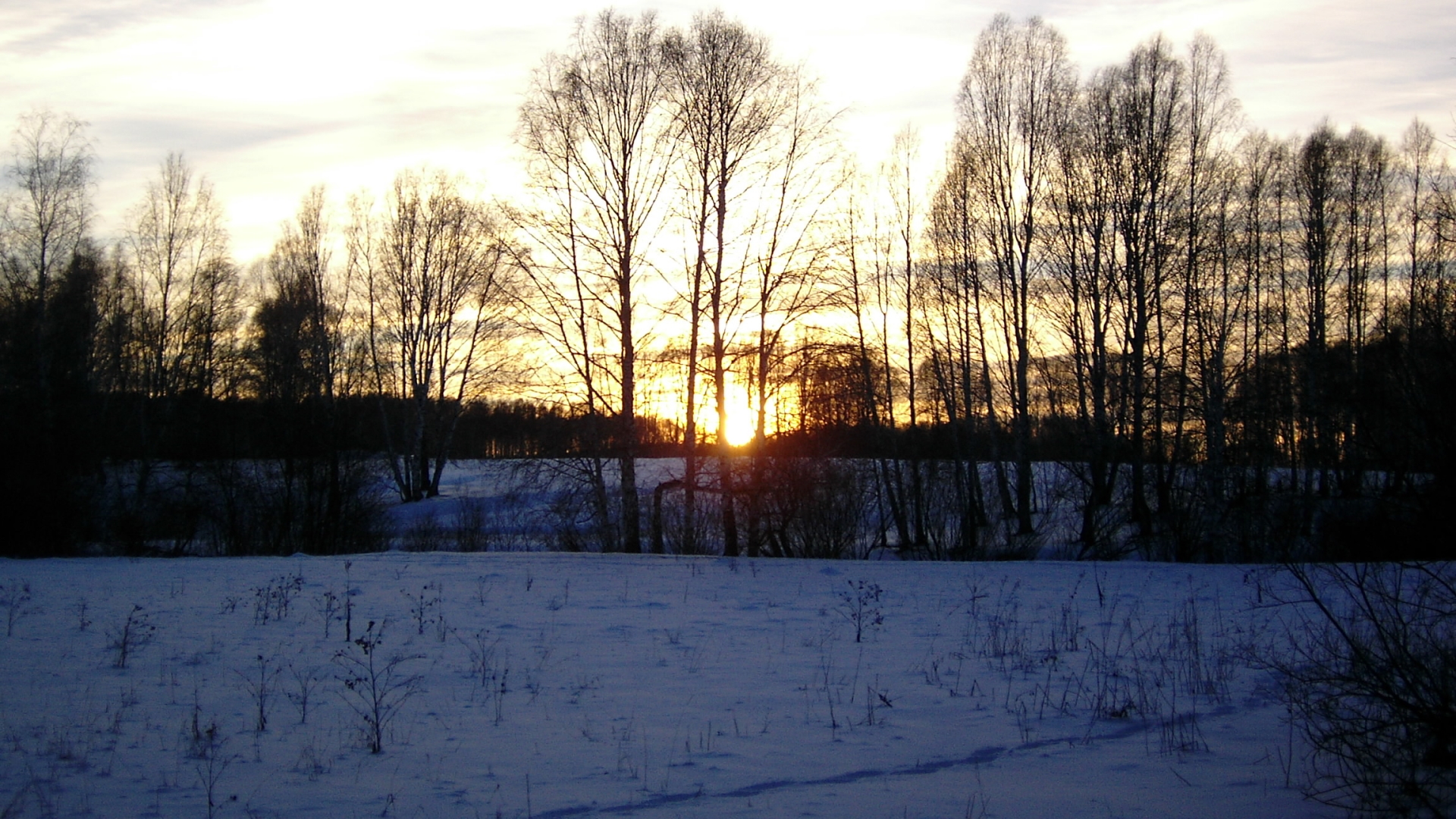 Téléchargez des papiers peints mobile Hiver, Terre/nature gratuitement.