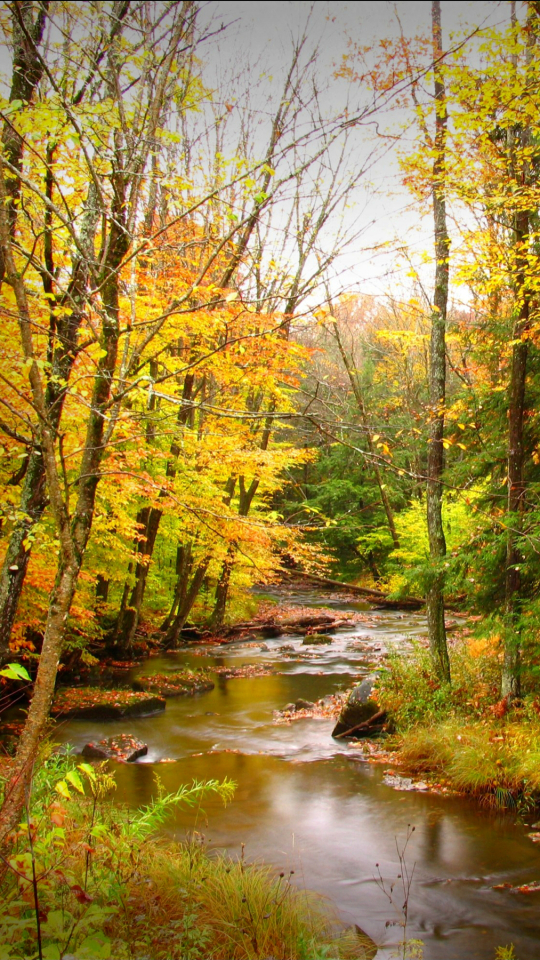 Handy-Wallpaper Natur, Herbst, Baum, Fluss, Erde/natur kostenlos herunterladen.