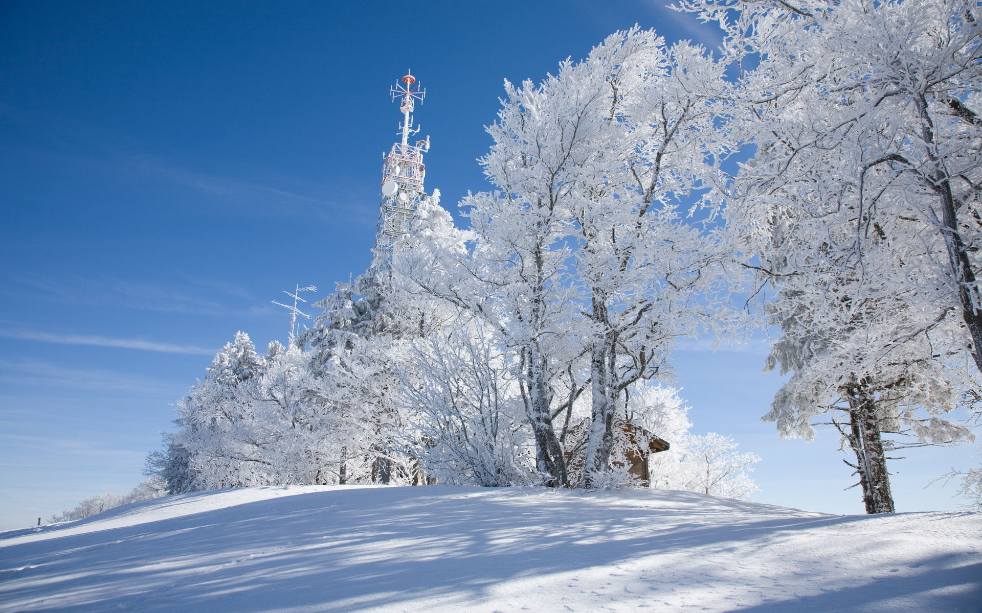 Handy-Wallpaper Winter, Erde/natur kostenlos herunterladen.