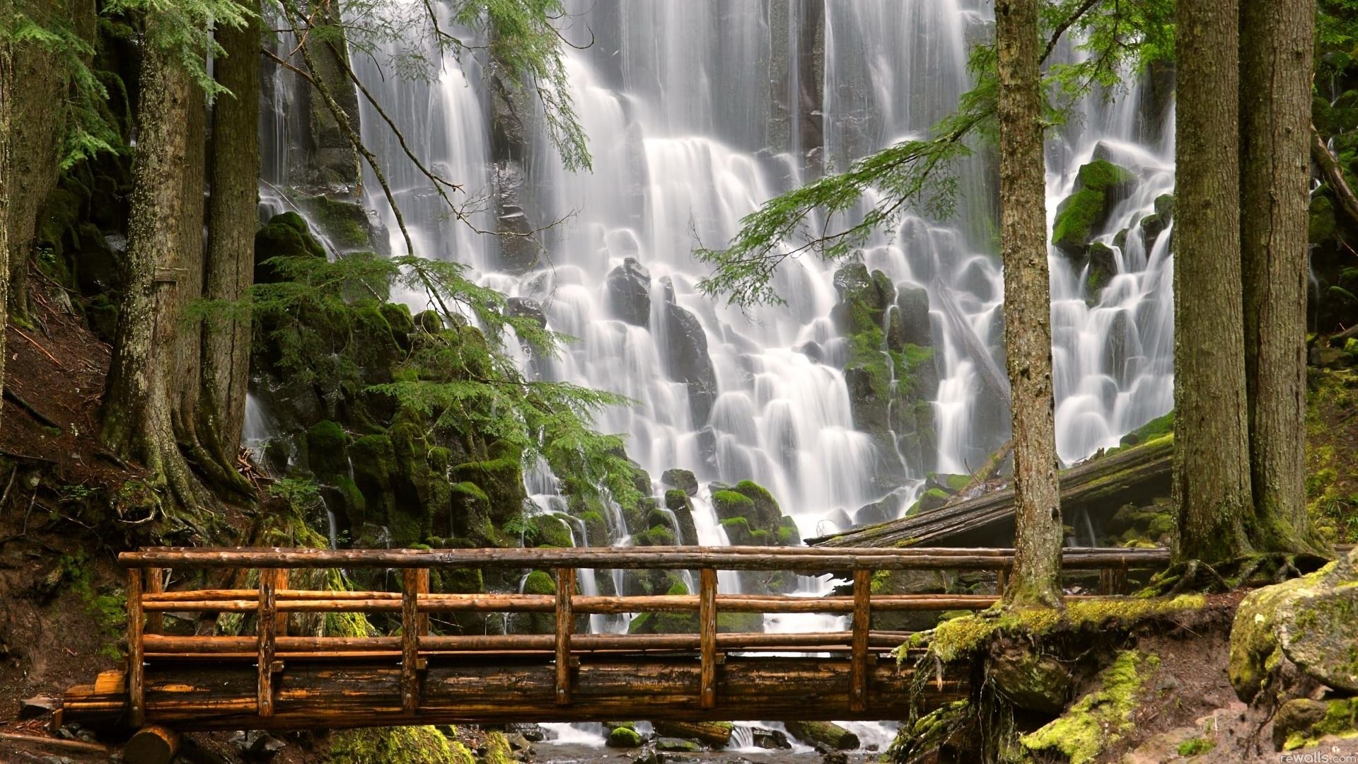 Laden Sie das Wasserfälle, Wasserfall, Wald, Brücke, Erde/natur-Bild kostenlos auf Ihren PC-Desktop herunter