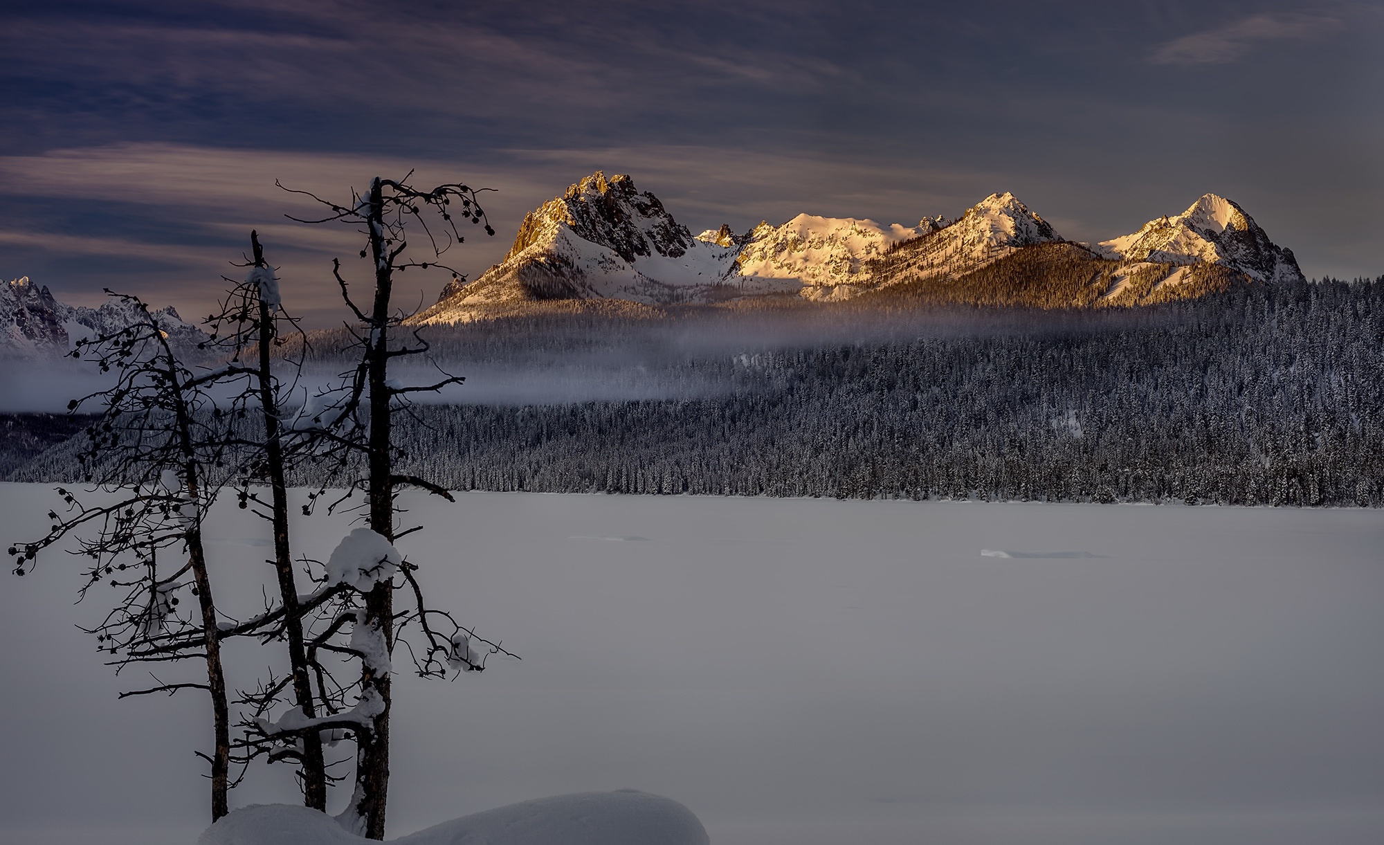 Descarga gratis la imagen Paisaje, Invierno, Naturaleza, Nieve, Montaña, Bosque, Niebla, Tierra/naturaleza en el escritorio de tu PC