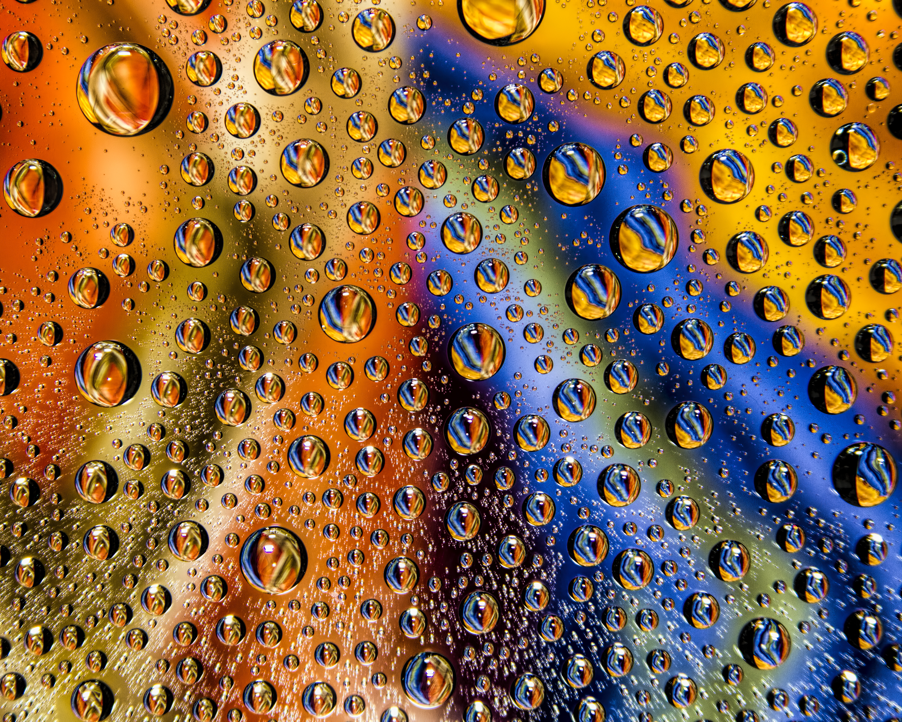 multicolored, drops, macro, motley, wet, surface HD wallpaper