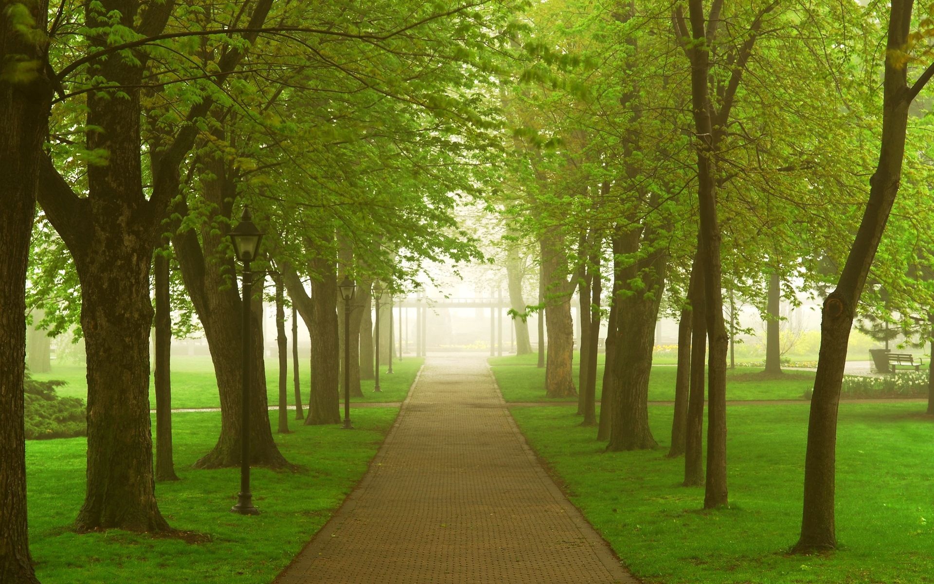 Free download wallpaper Nature, Road, Fog, Morning, Trees, Greens, Park on your PC desktop