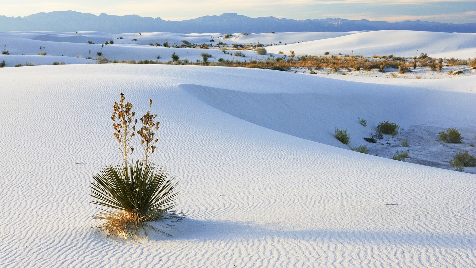 Download mobile wallpaper Desert, Earth for free.