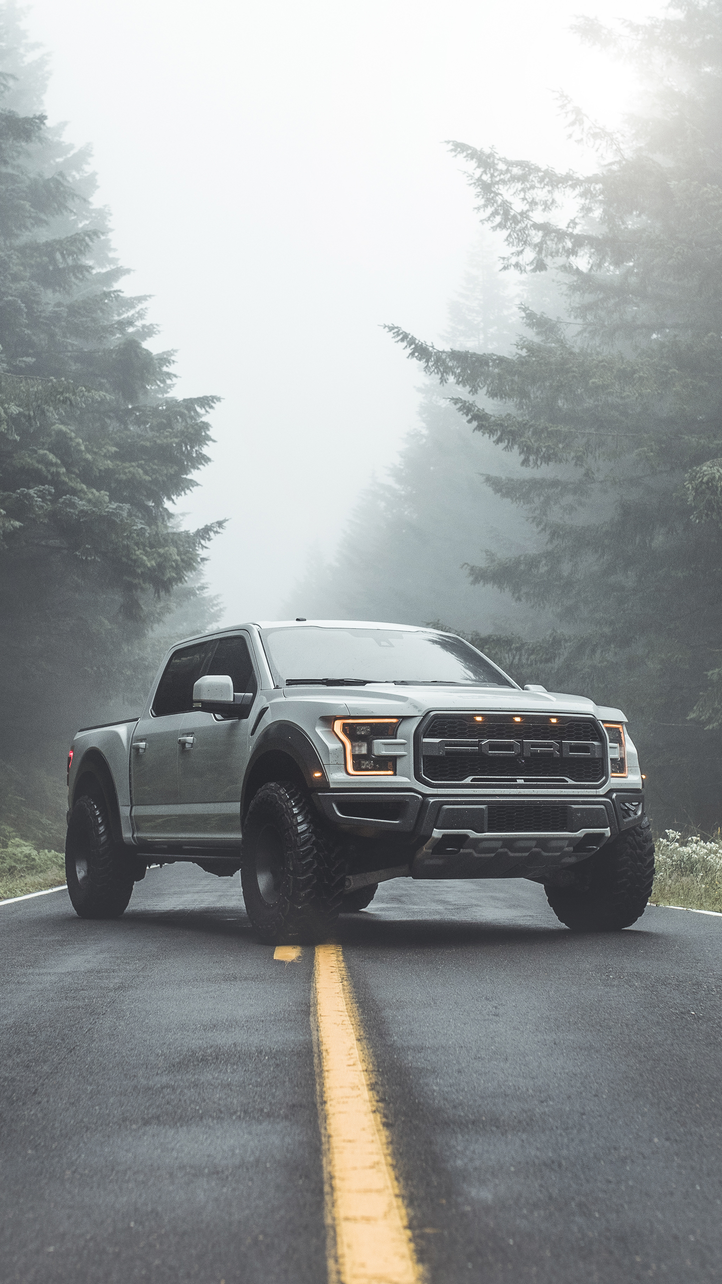 Free download wallpaper Ford, Ford Raptor, Vehicles, Silver Car on your PC desktop