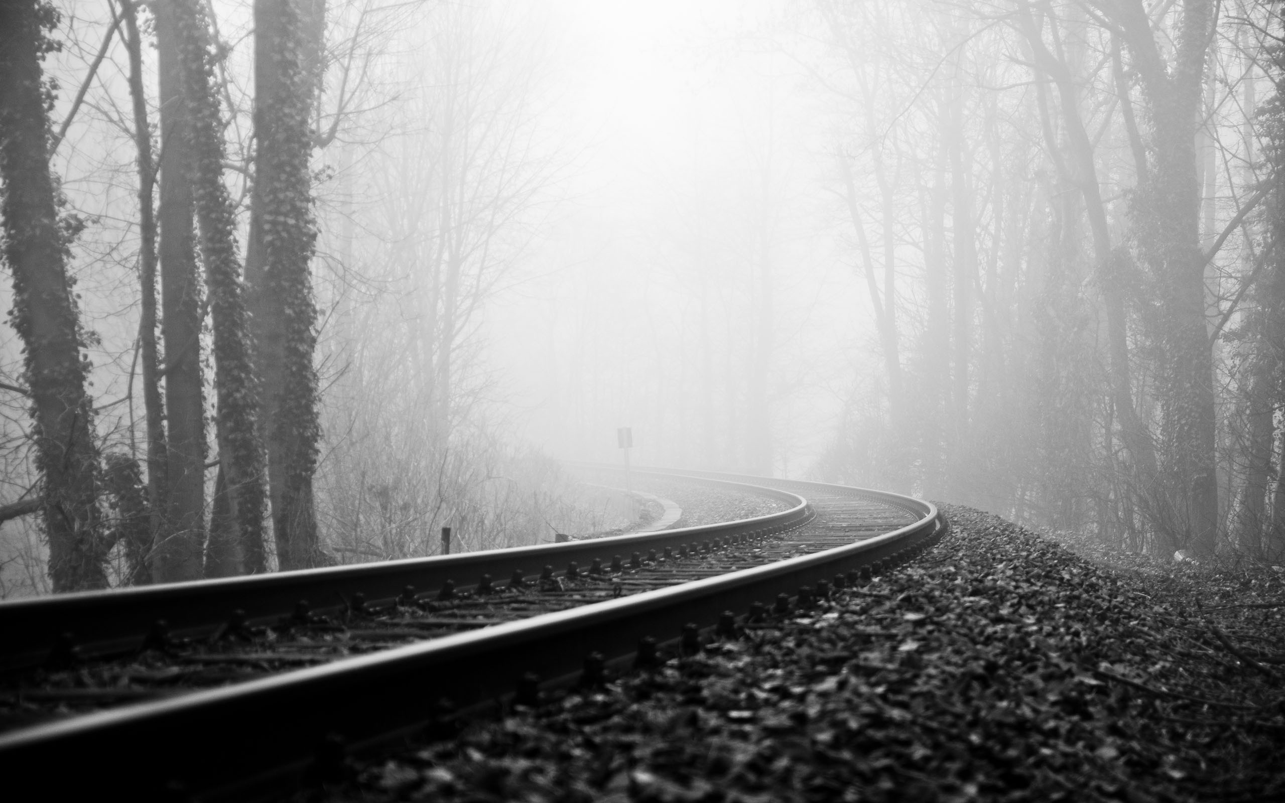 176558 скачать обои черно белый, железная дорога, фотографии, туман - заставки и картинки бесплатно