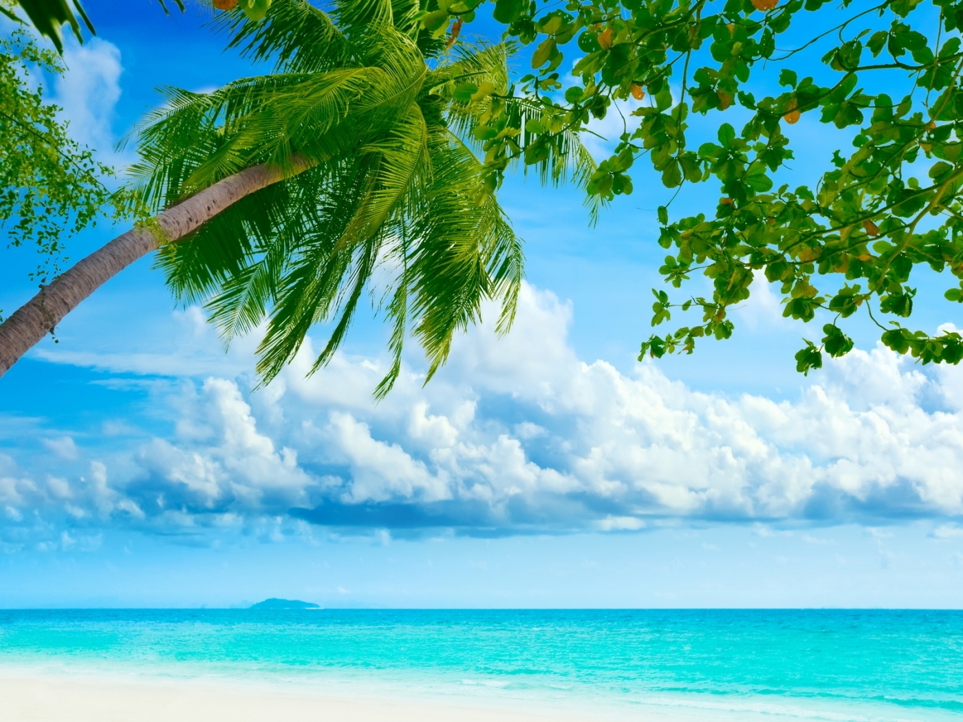Laden Sie das Palms, Sea, Landschaft-Bild kostenlos auf Ihren PC-Desktop herunter