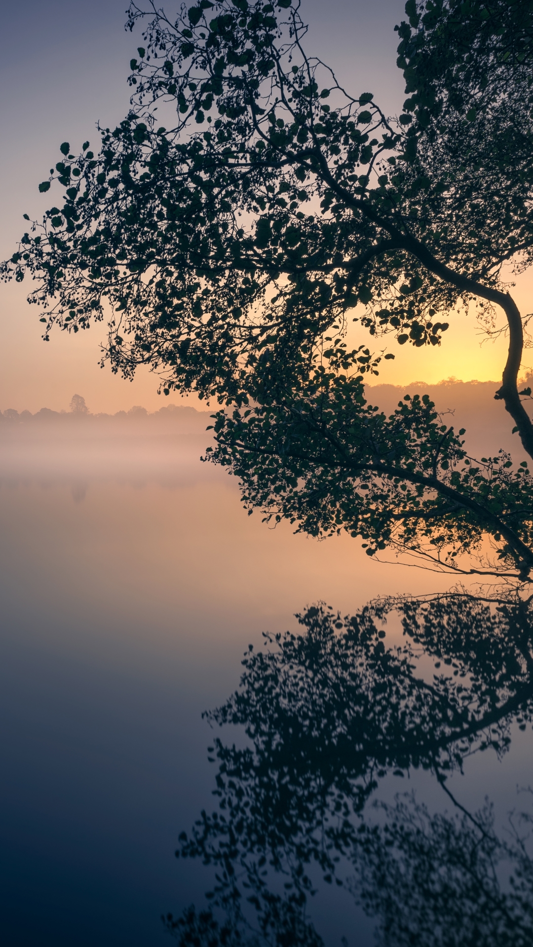 Download mobile wallpaper Nature, Lake, Reflection, Fog, Sunrise, Earth for free.