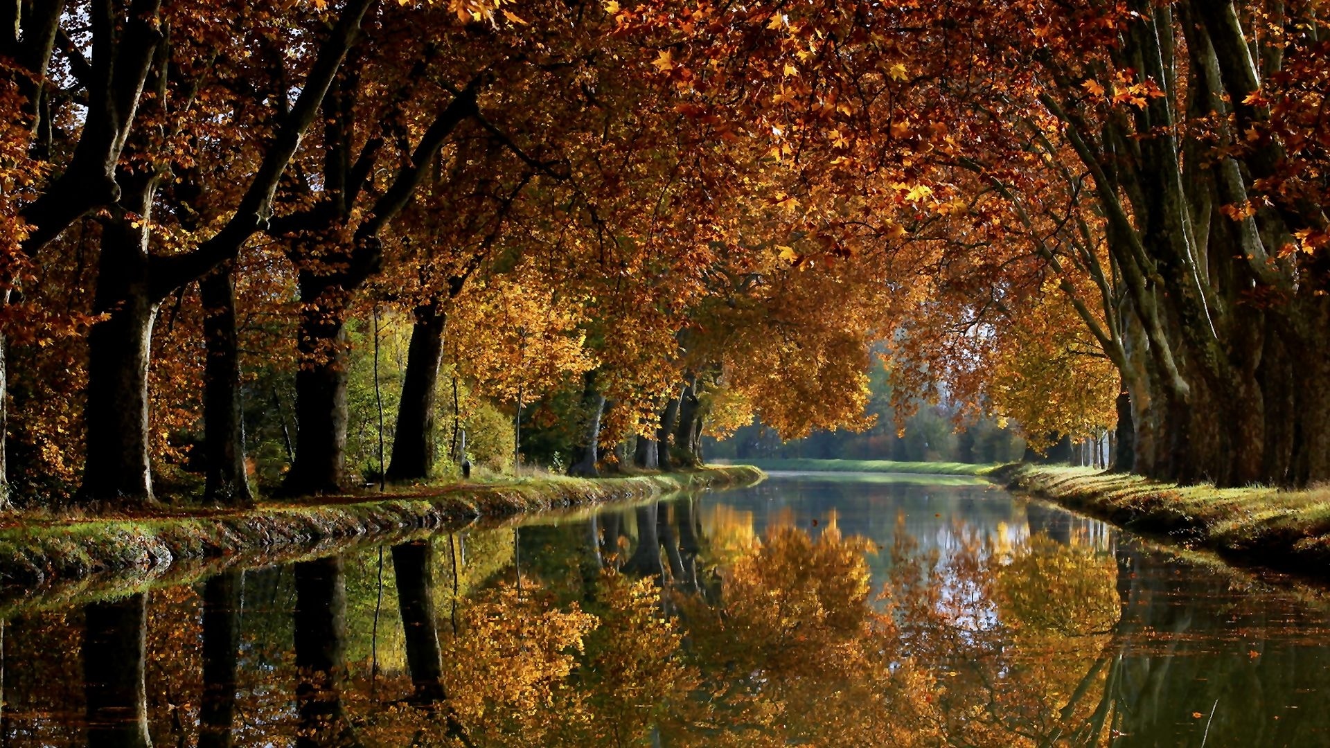 Descarga gratuita de fondo de pantalla para móvil de Rio, Tierra/naturaleza.