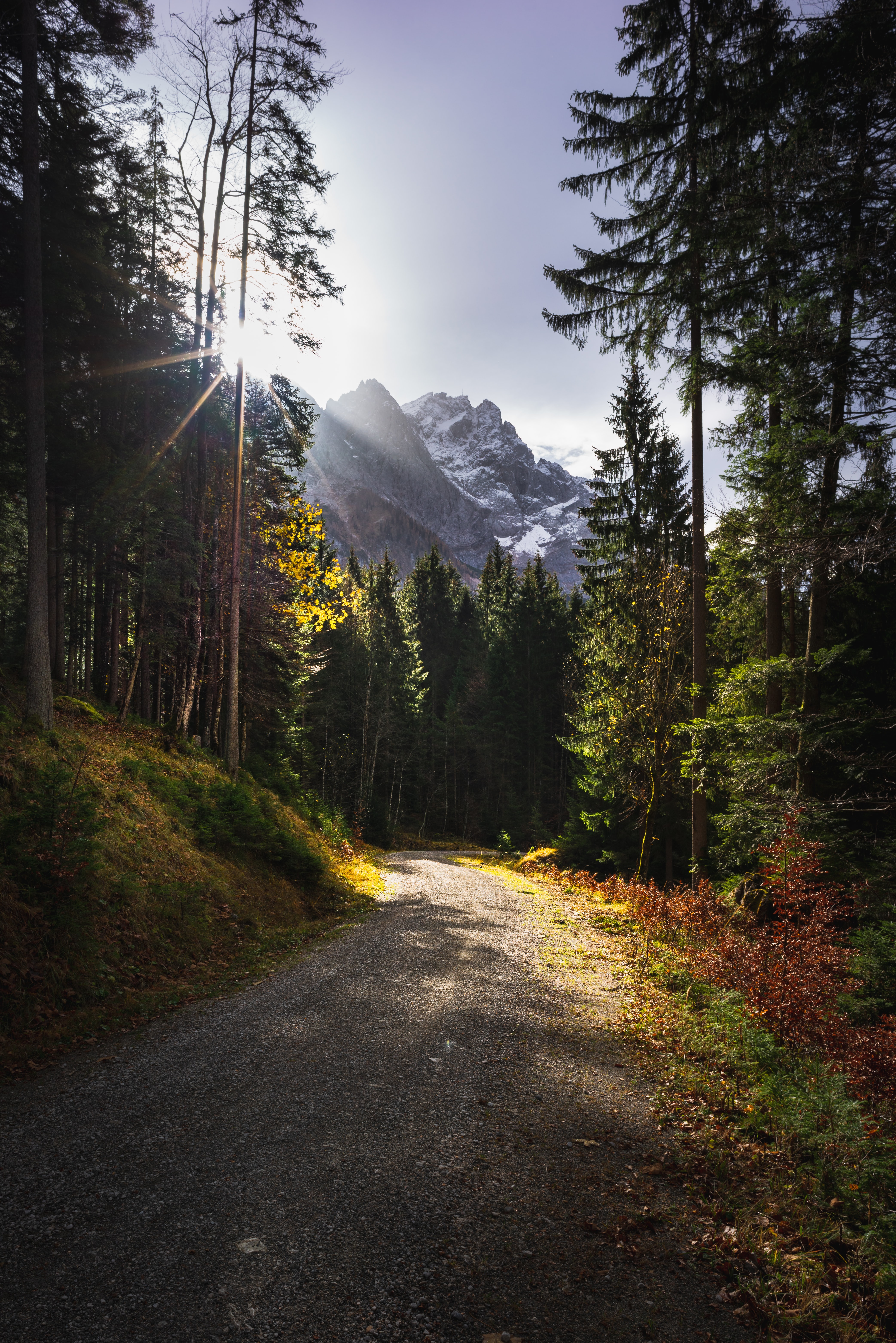 Free download wallpaper Trees, Mountains, Sun, Beams, Rays, Path, Nature on your PC desktop