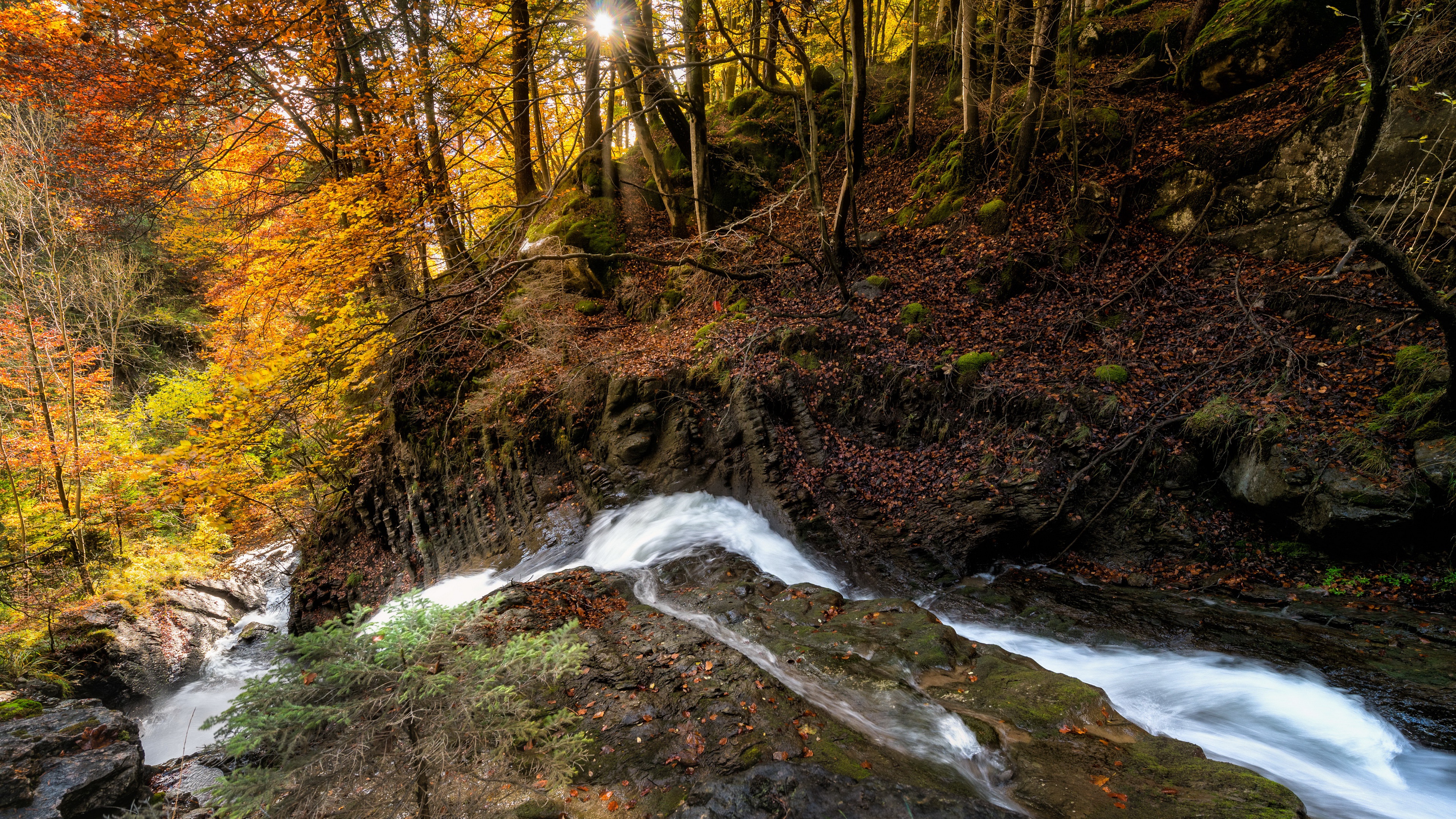 Handy-Wallpaper Herbst, Wald, Fluss, Strom, Erde/natur kostenlos herunterladen.