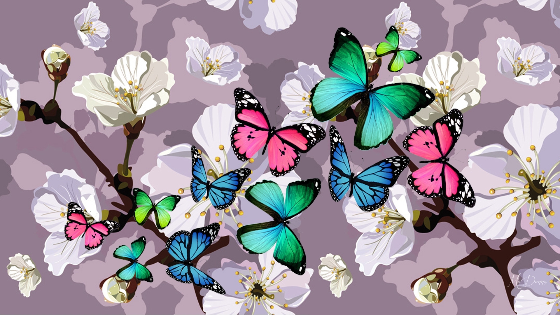 PCデスクトップに蝶, 花, 色, カラフル, 芸術的画像を無料でダウンロード