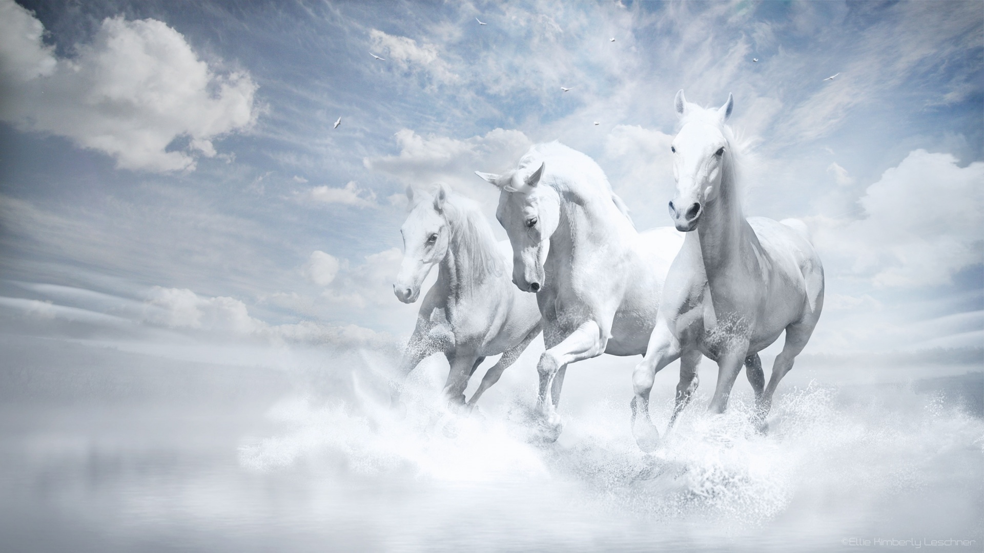 Free download wallpaper Fantasy, Horse, Running, Fantasy Animals on your PC desktop