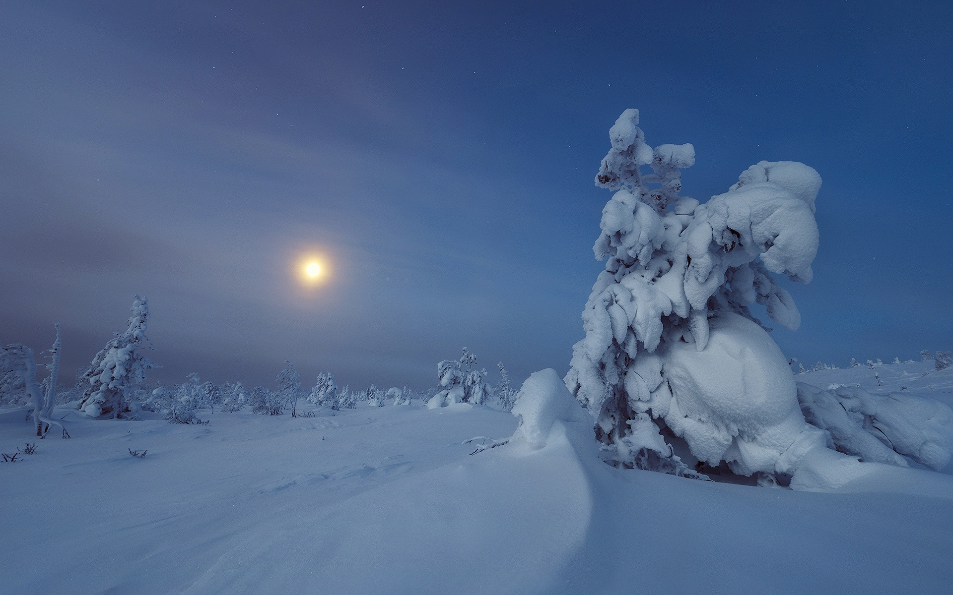 PCデスクトップに冬, 木, 雪, 地球画像を無料でダウンロード