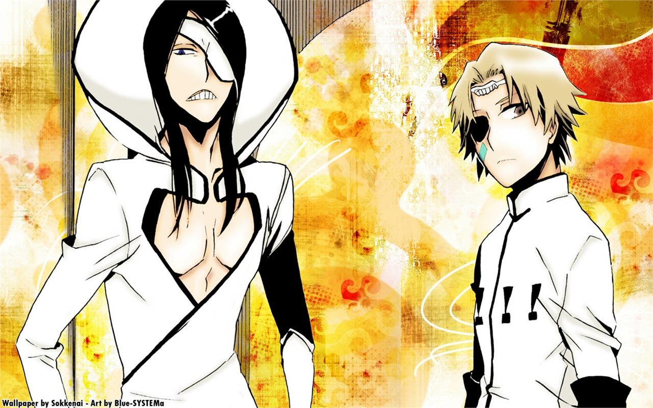 Descarga gratis la imagen Animado, Bleach: Burîchi en el escritorio de tu PC