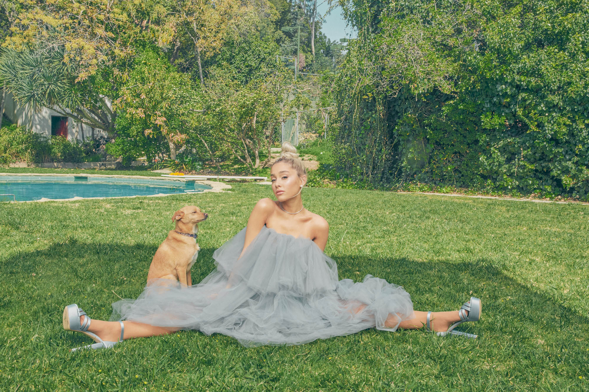 Téléchargez gratuitement l'image Chien, Blond, Célébrités, Chanteuse, Ariana Grande sur le bureau de votre PC