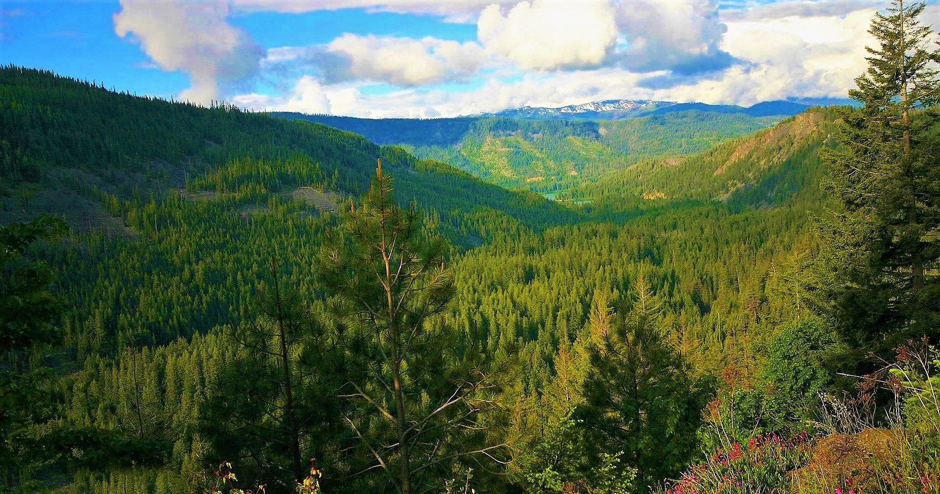 Laden Sie das Landschaft, Berg, See, Wald, Erde/natur-Bild kostenlos auf Ihren PC-Desktop herunter