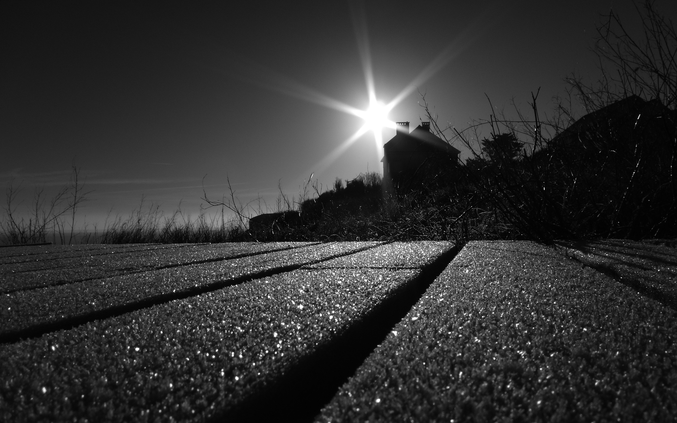 Descarga gratuita de fondo de pantalla para móvil de Blanco Y Negro, Fotografía.