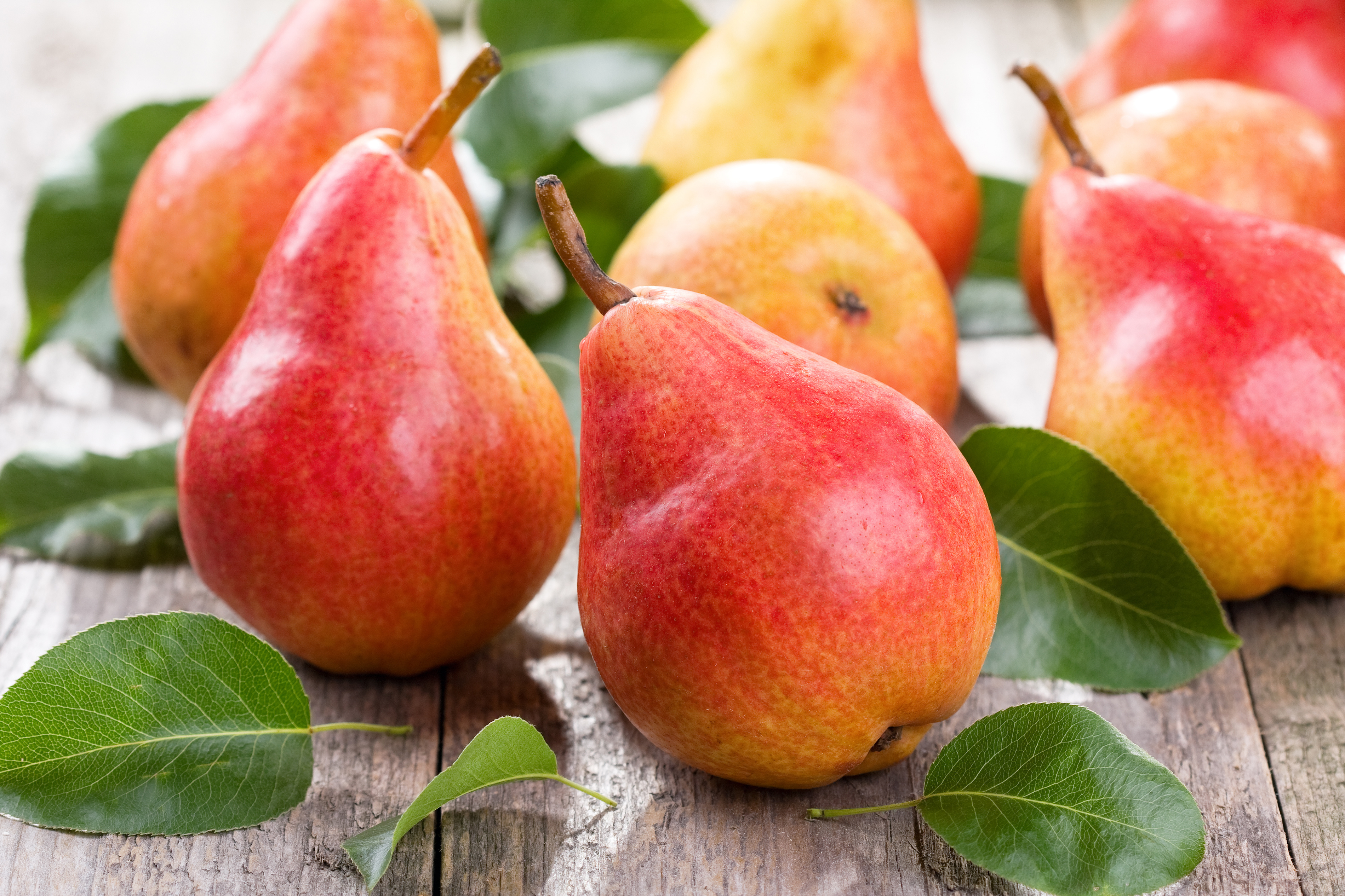 Download mobile wallpaper Fruits, Food, Leaf, Fruit, Pear for free.