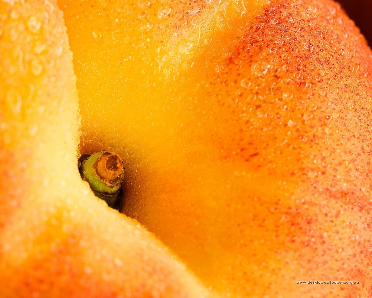 fruits, food, peaches, orange HD wallpaper