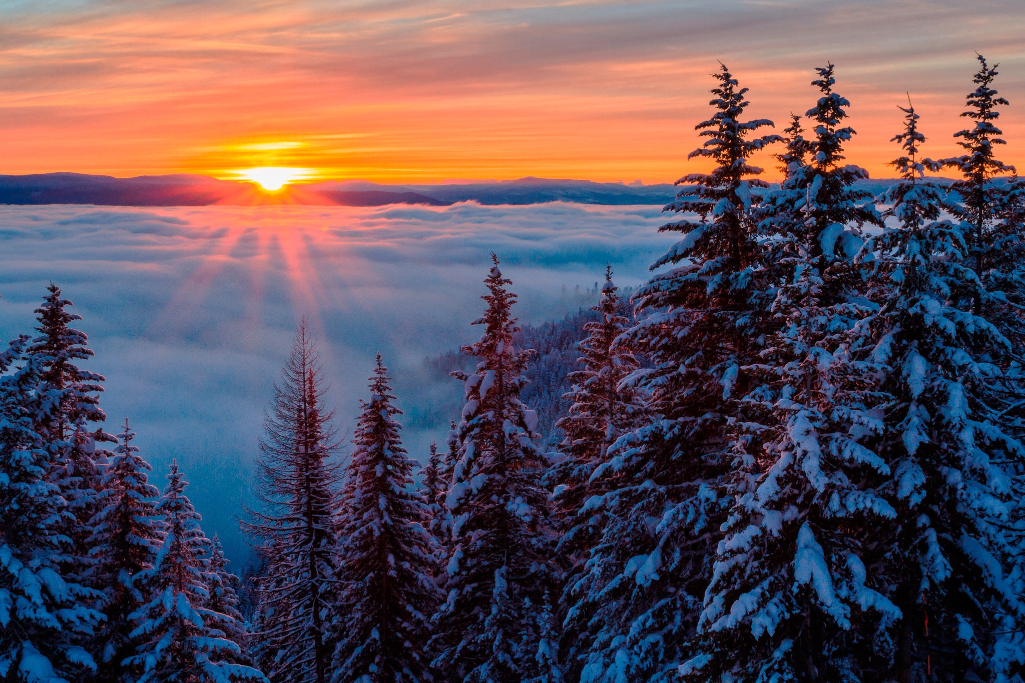Скачать картинку Зима, Природа, Небо, Солнце, Лес, Туман, Восход, Земля/природа в телефон бесплатно.
