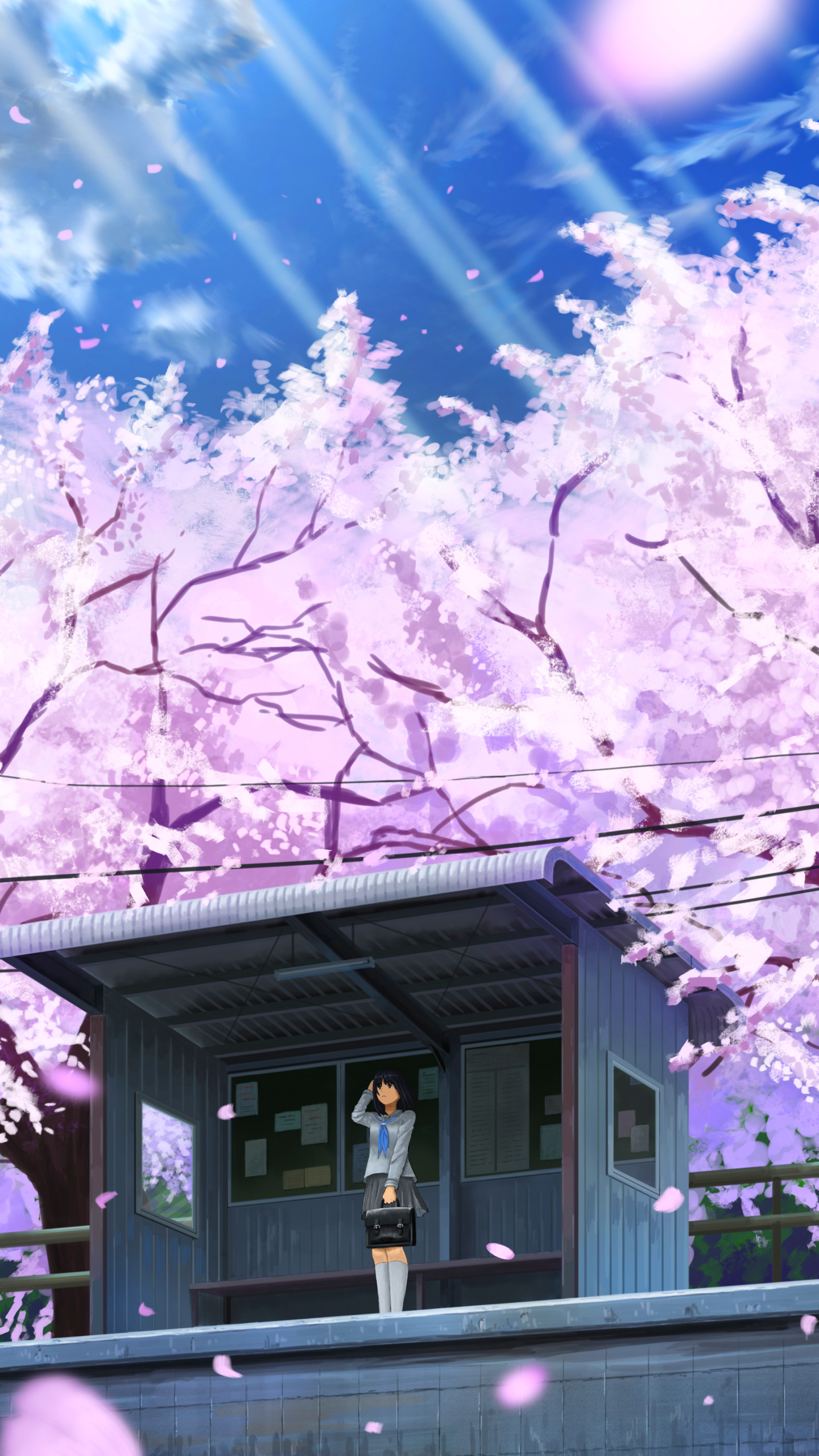 Download mobile wallpaper Anime, Cherry Blossom, Original, Black Hair, Short Hair, Telephone Pole for free.