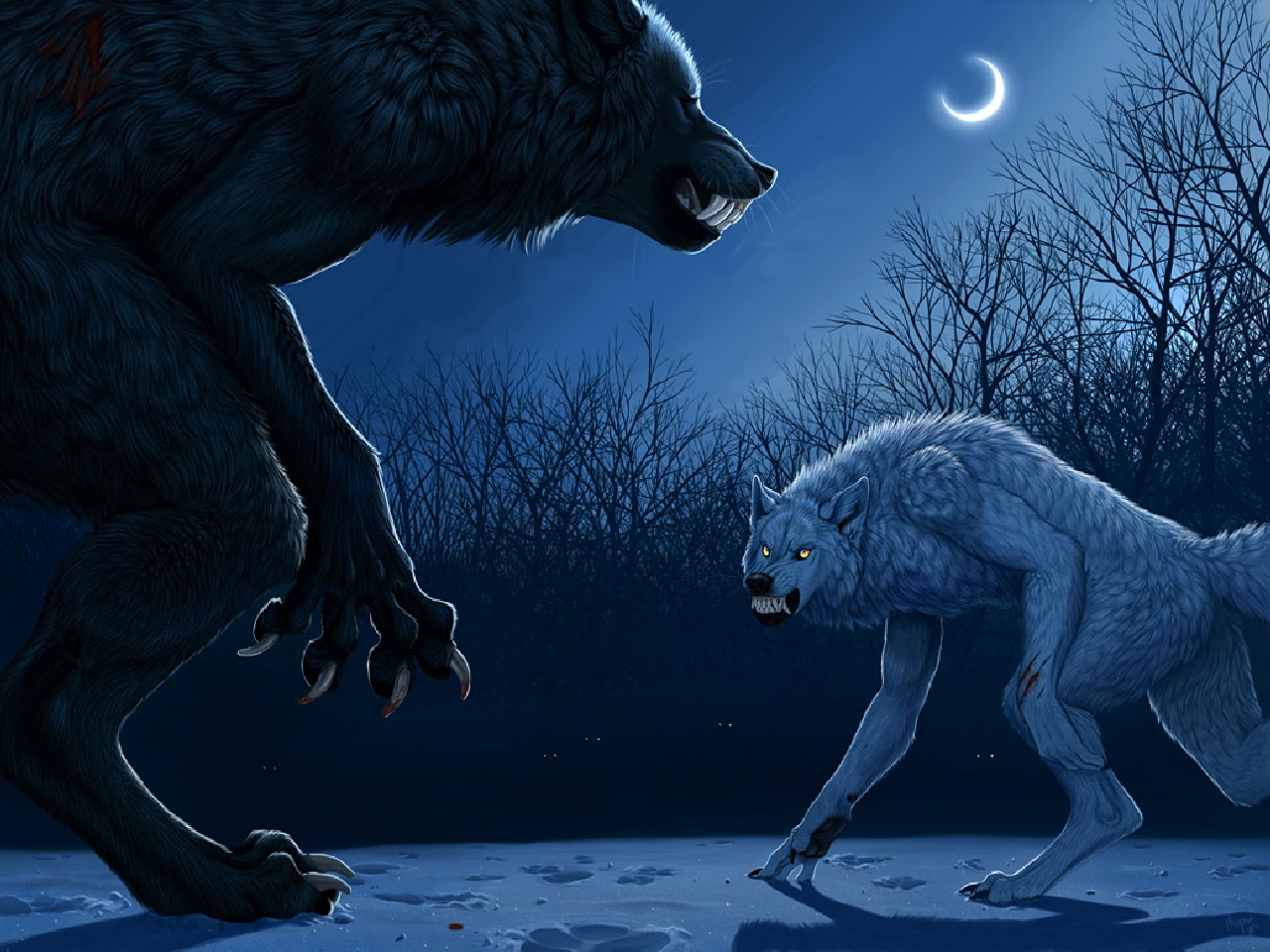 dark, werewolf