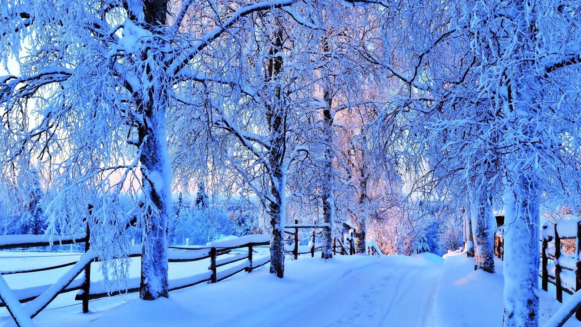 Handy-Wallpaper Winter, Schnee, Straße, Baum, Erde, Zaun, Fotografie kostenlos herunterladen.