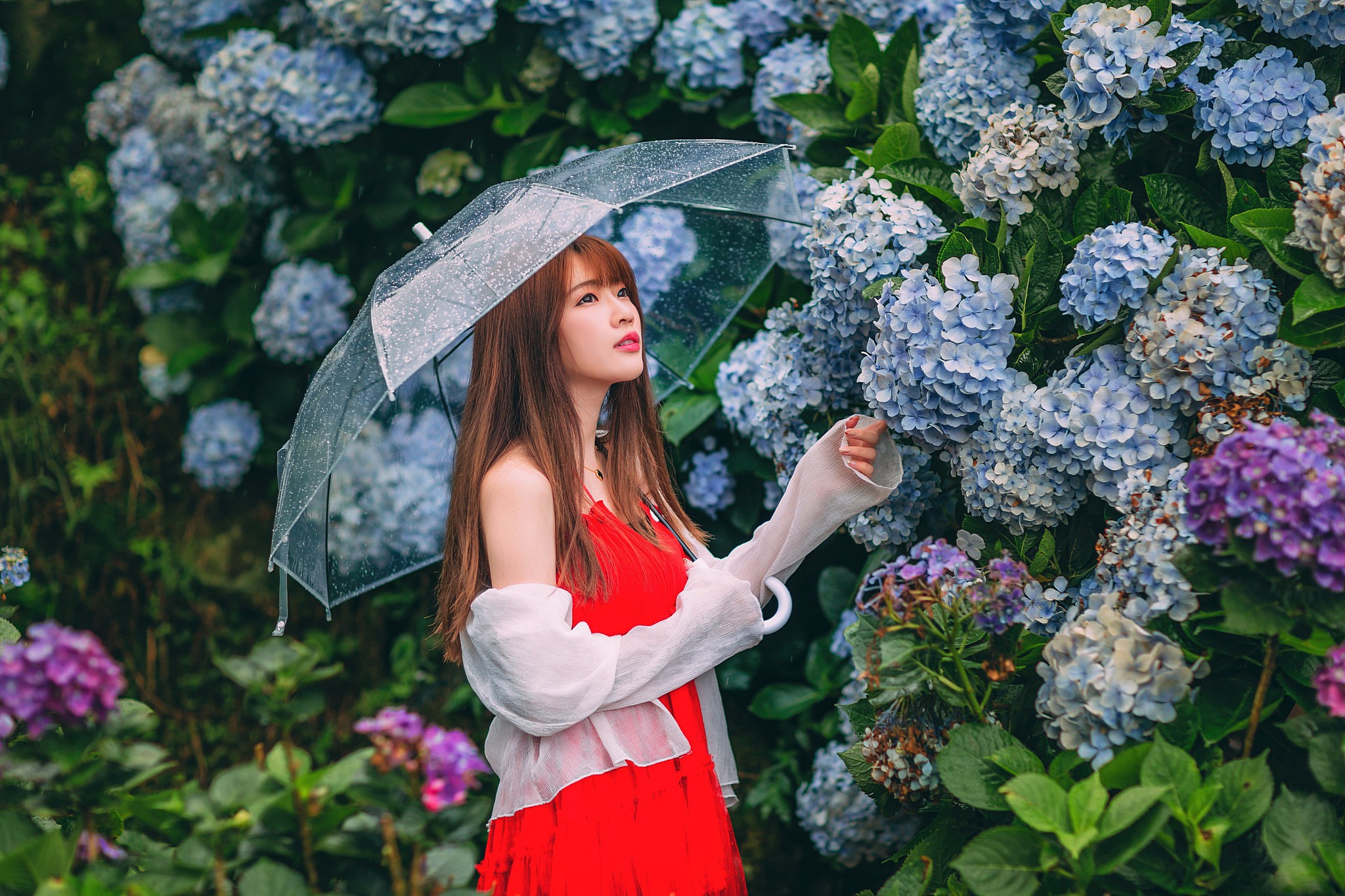 Download mobile wallpaper Flower, Umbrella, Hydrangea, Brunette, Model, Women, Asian, Red Dress for free.