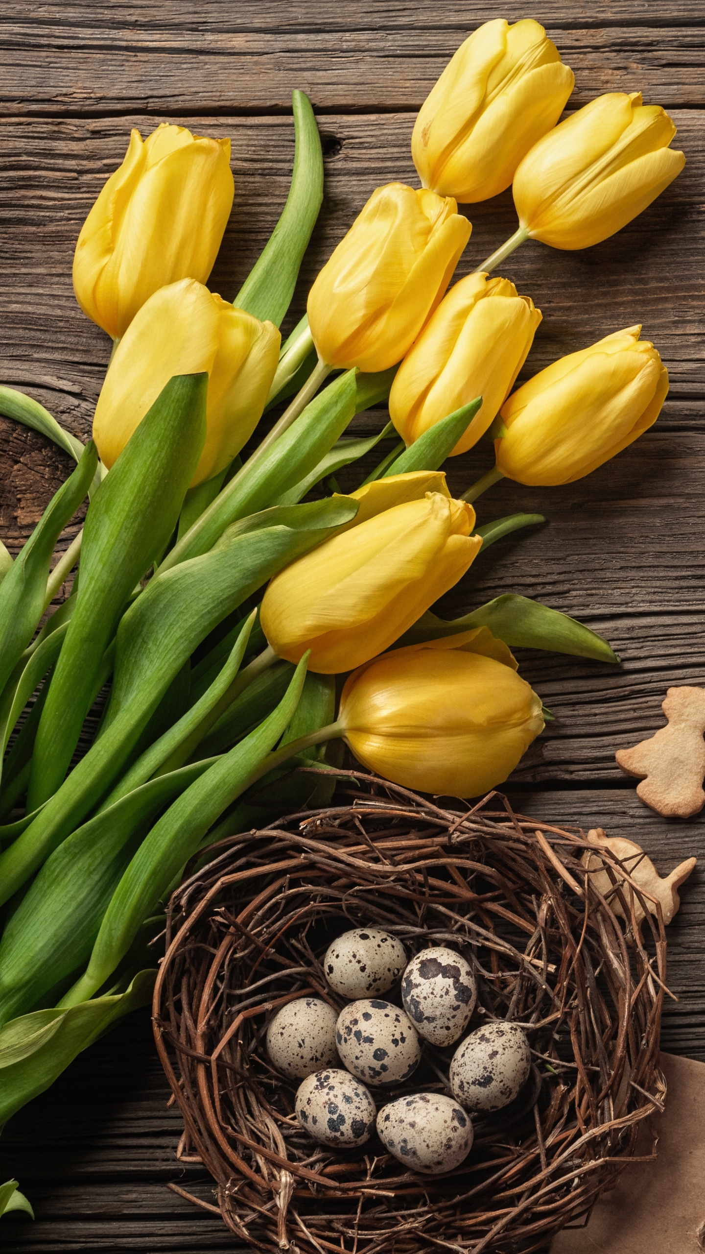 Handy-Wallpaper Feiertage, Ostern, Blume, Ei, Hühnerei, Gelbe Blume kostenlos herunterladen.