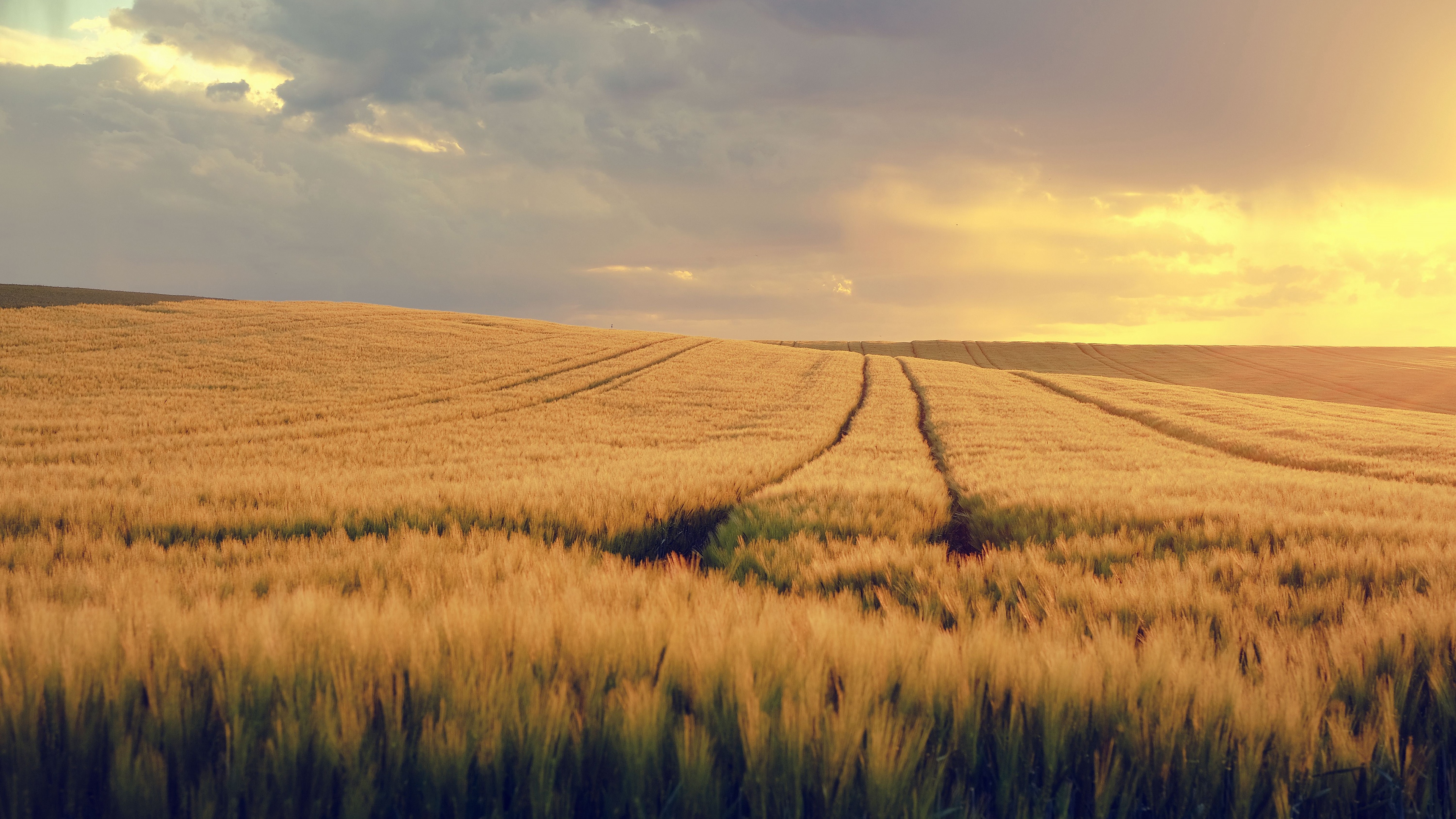 Download mobile wallpaper Sky, Horizon, Earth, Field, Cloud for free.