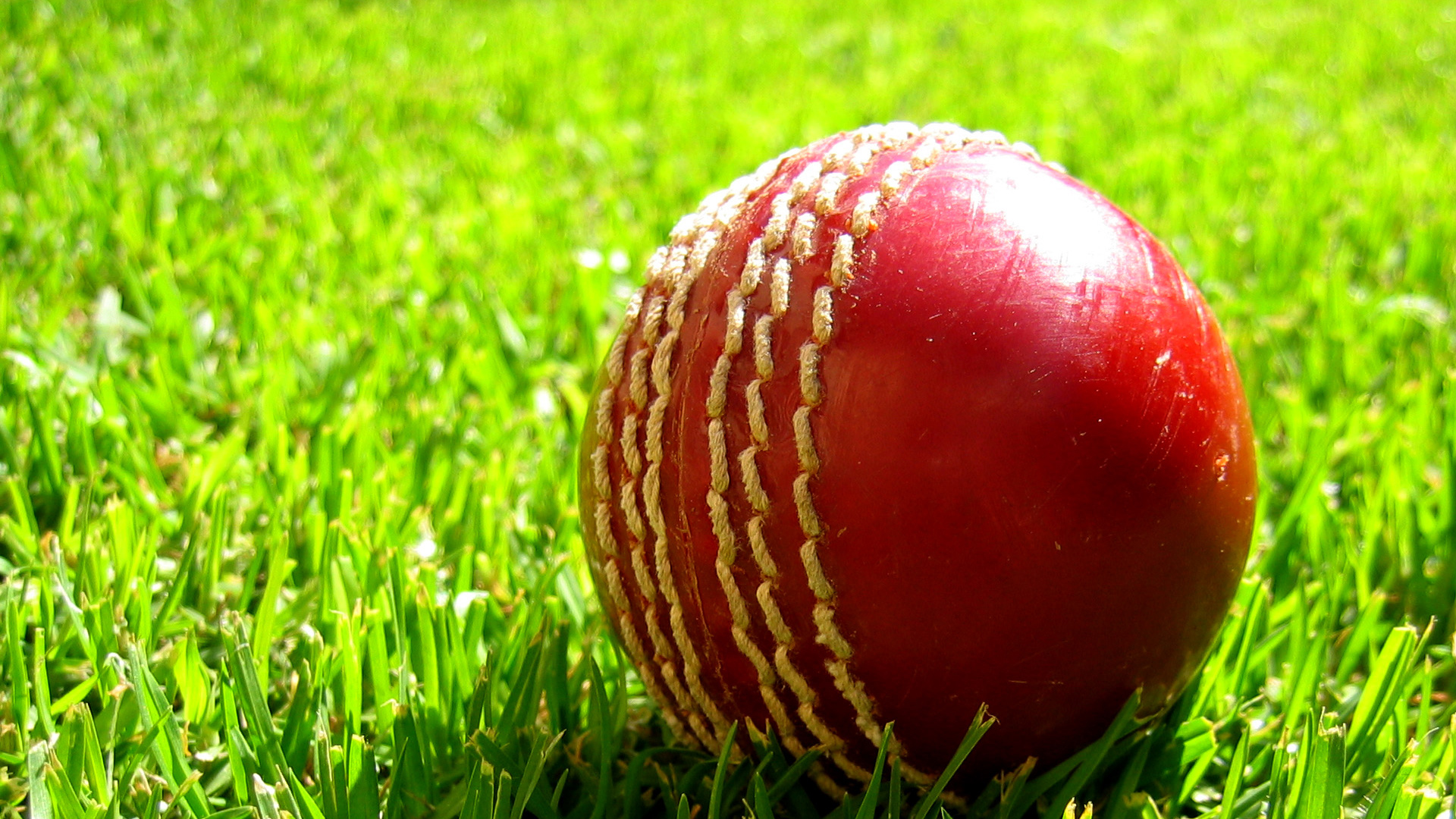Завантажити шпалери Крикет на телефон безкоштовно