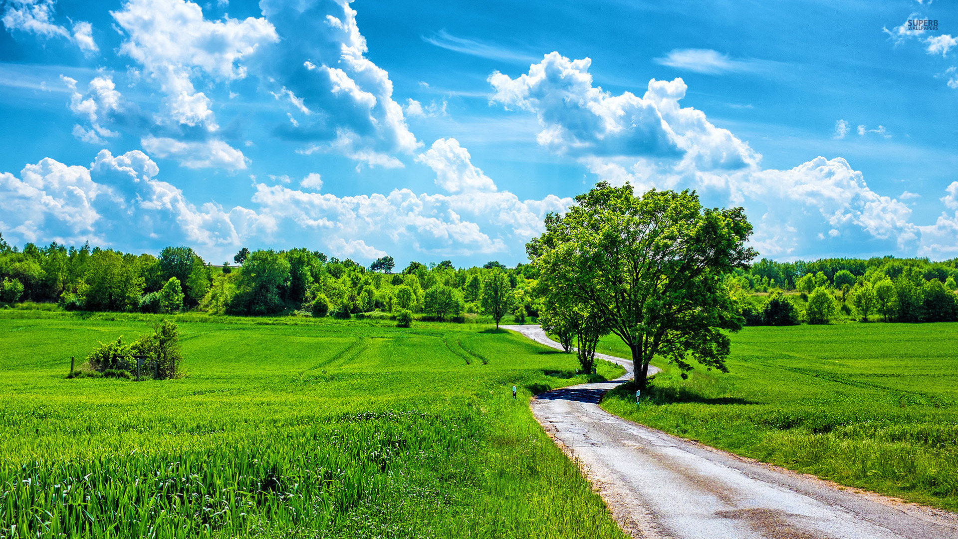 Handy-Wallpaper Feld, Erde/natur kostenlos herunterladen.