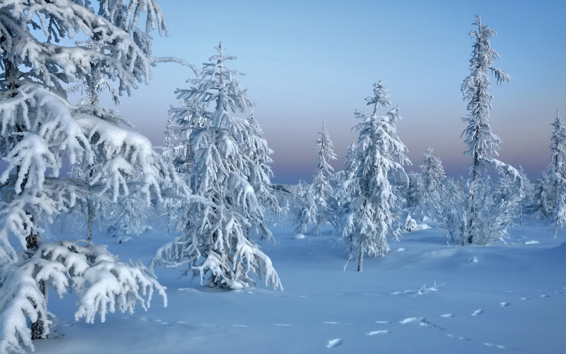 Free download wallpaper Winter, Earth on your PC desktop